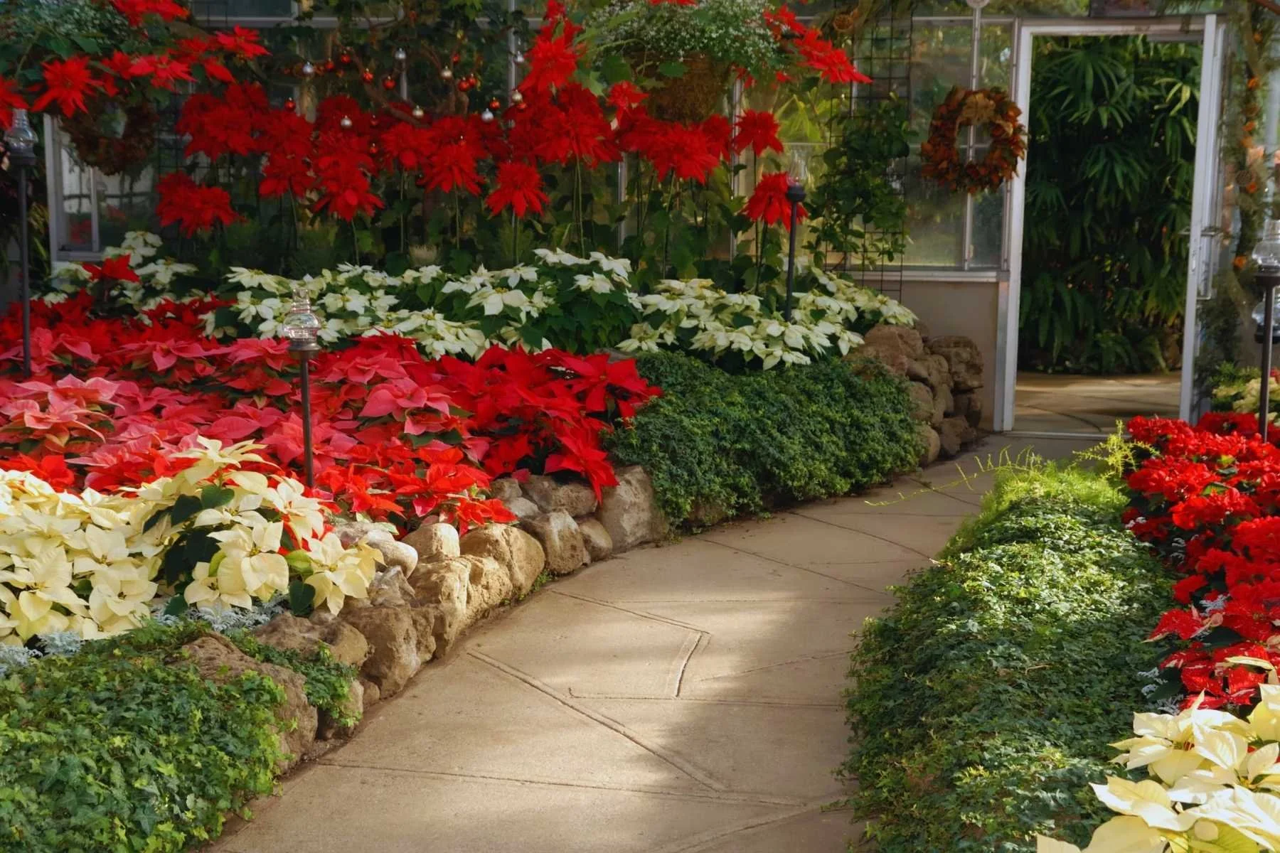 Christmas indoor gardens