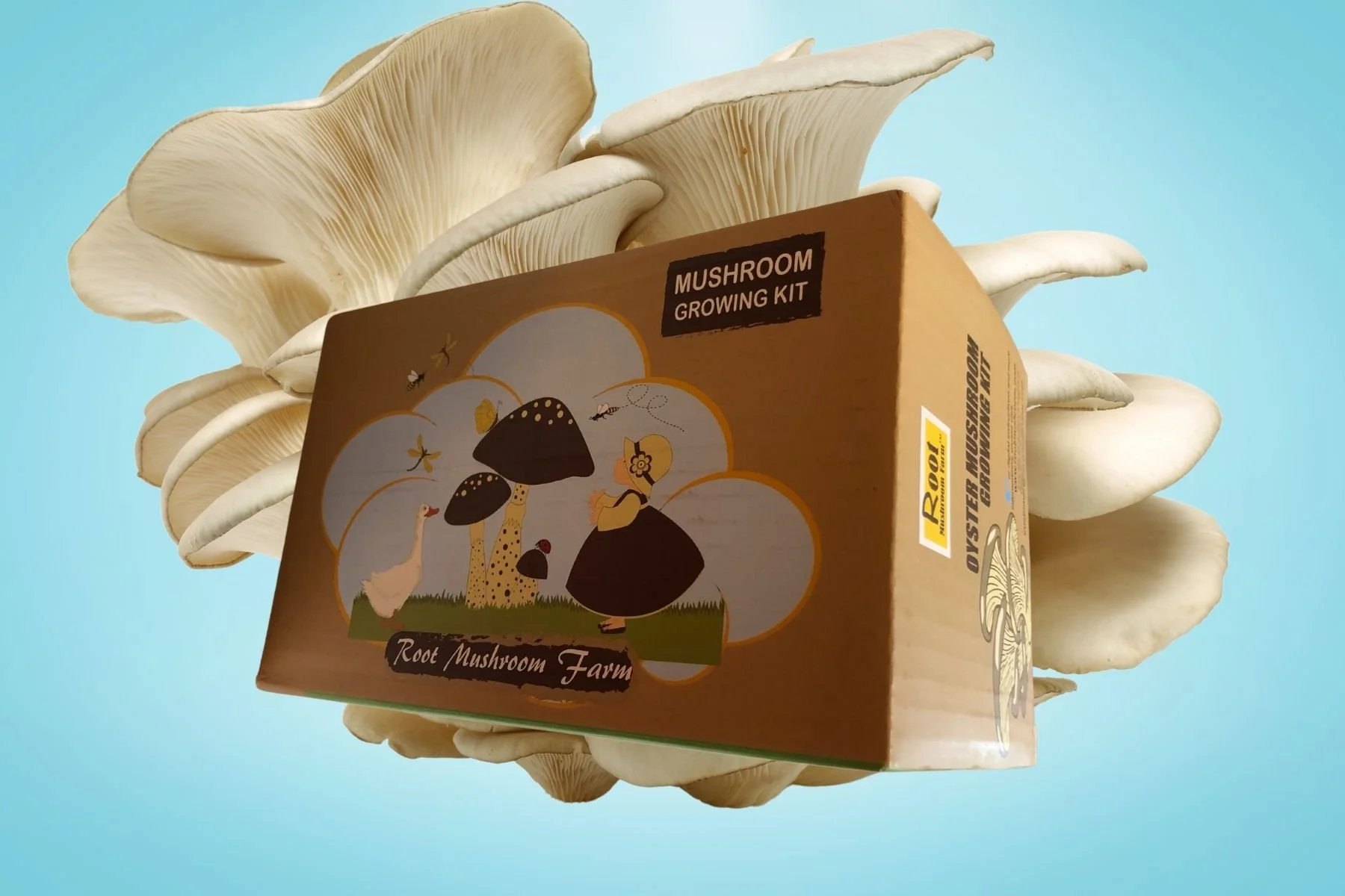 Mushroom growing kit