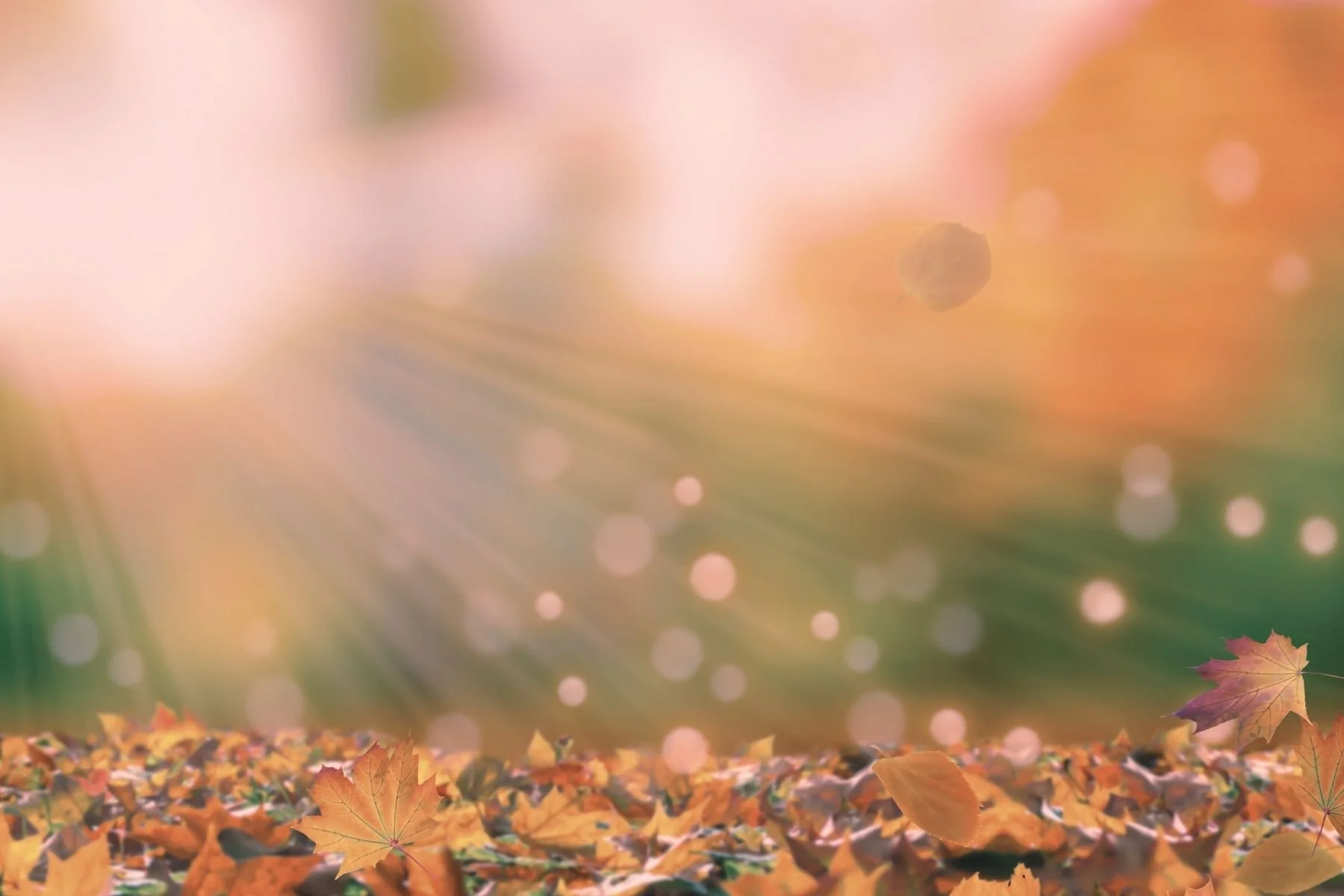 September Fall Energy