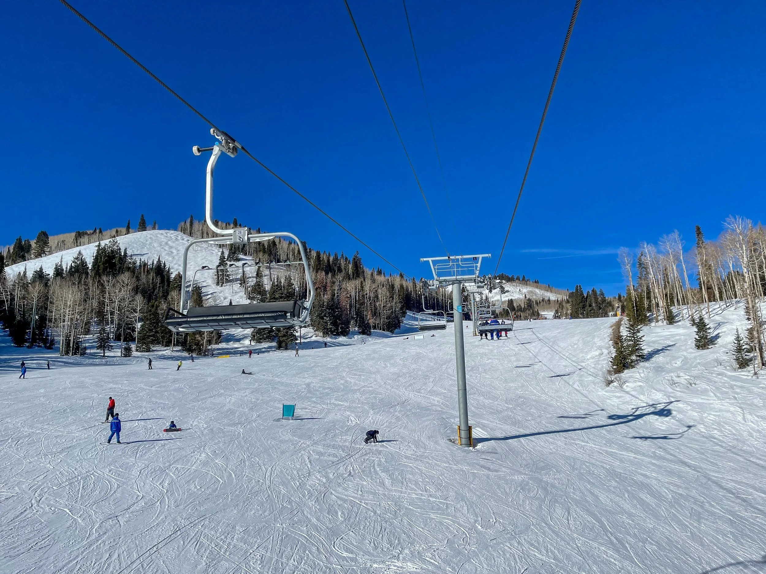 66456571052__9B0839B0-6832-45D4-AD95-55DE851F14C9.fullsizerender.jpg