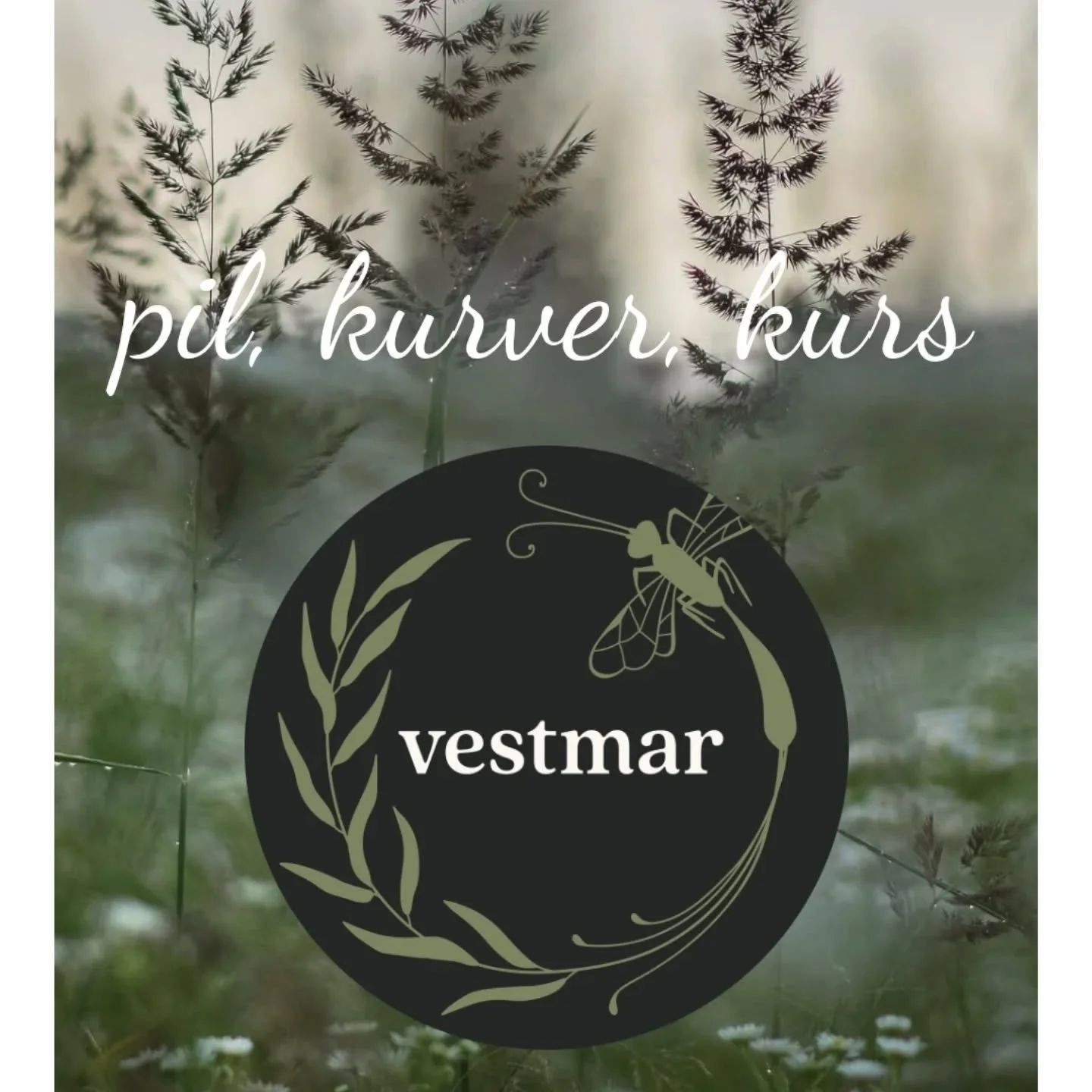 Heisann! Endelig,  ENDELIG er nettsida klar🤩🥳 (vestmar-pil.no) 
Eller &quot;klar&quot;, alt ettersom. Jeg har gjort det sj&oslash;l, alt sammen, og jeg veit virkelig ikke hva jeg driver med n&aring;r det kommer til s&aring;nt. Det har v&aelig;rt ve