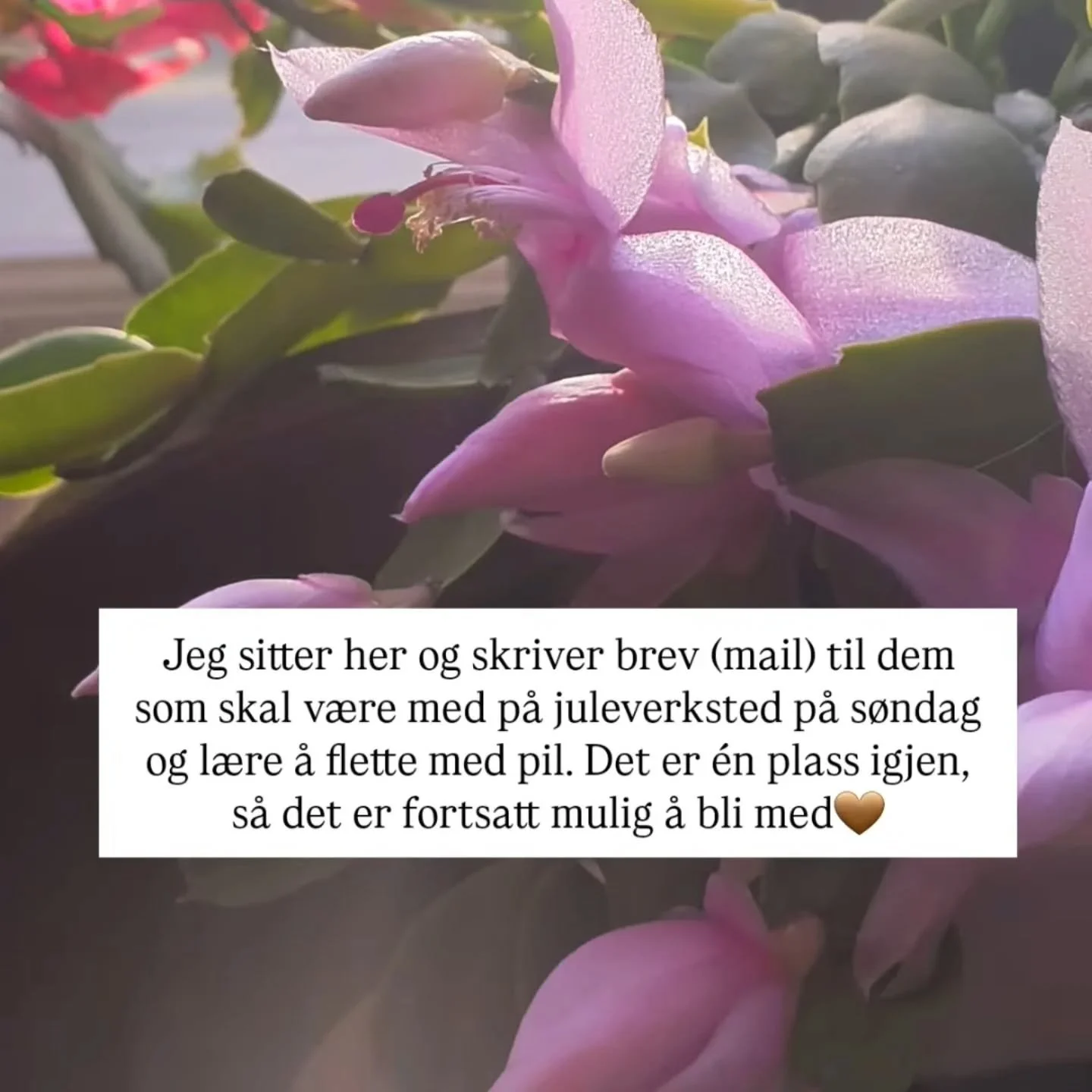 Sleng deg med hvis du vil🌸 Det blir fletting av sm&aring;prosjekter som lykter, kremmerhus/fuglematere, kranser og stjerner. Kaffe, te, julekaker og kos🤎 
Ellers er det mange muligheter for kurs i vinter, lurer du p&aring; det st&aring;r det mer p&