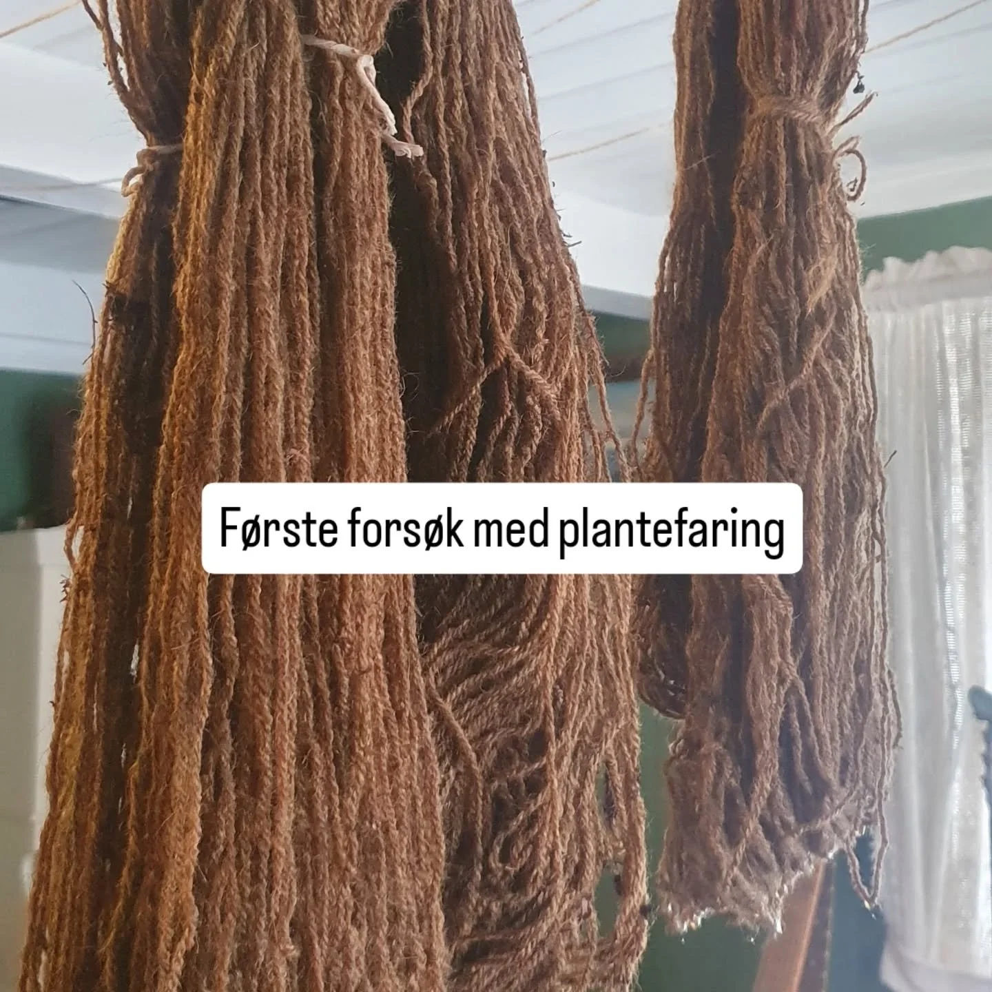 Liten bildeserie fra mitt f&oslash;rste fors&oslash;k med plantefarging, p&aring; eget garn. Dette kan jeg ikke, men synes det er s&aring; moro &aring; pr&oslash;ve! Man m&aring; jo bare begynne et sted😅

#plantefarging #ull #gammelnorsksau
#sj&osla