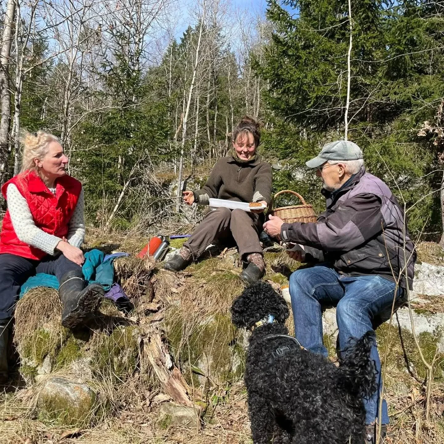 Hjertelig takk, Hanne, Iren og Tommy som kom og var med p&aring; pileh&oslash;sting f&oslash;r helga 😍 Noen fine timer fikk vi i sola, med prat, jobbing og kakepause. For noen fine folk jeg kjenner💚☀️ Takk🌿

#pil #flettepil #willowgrower