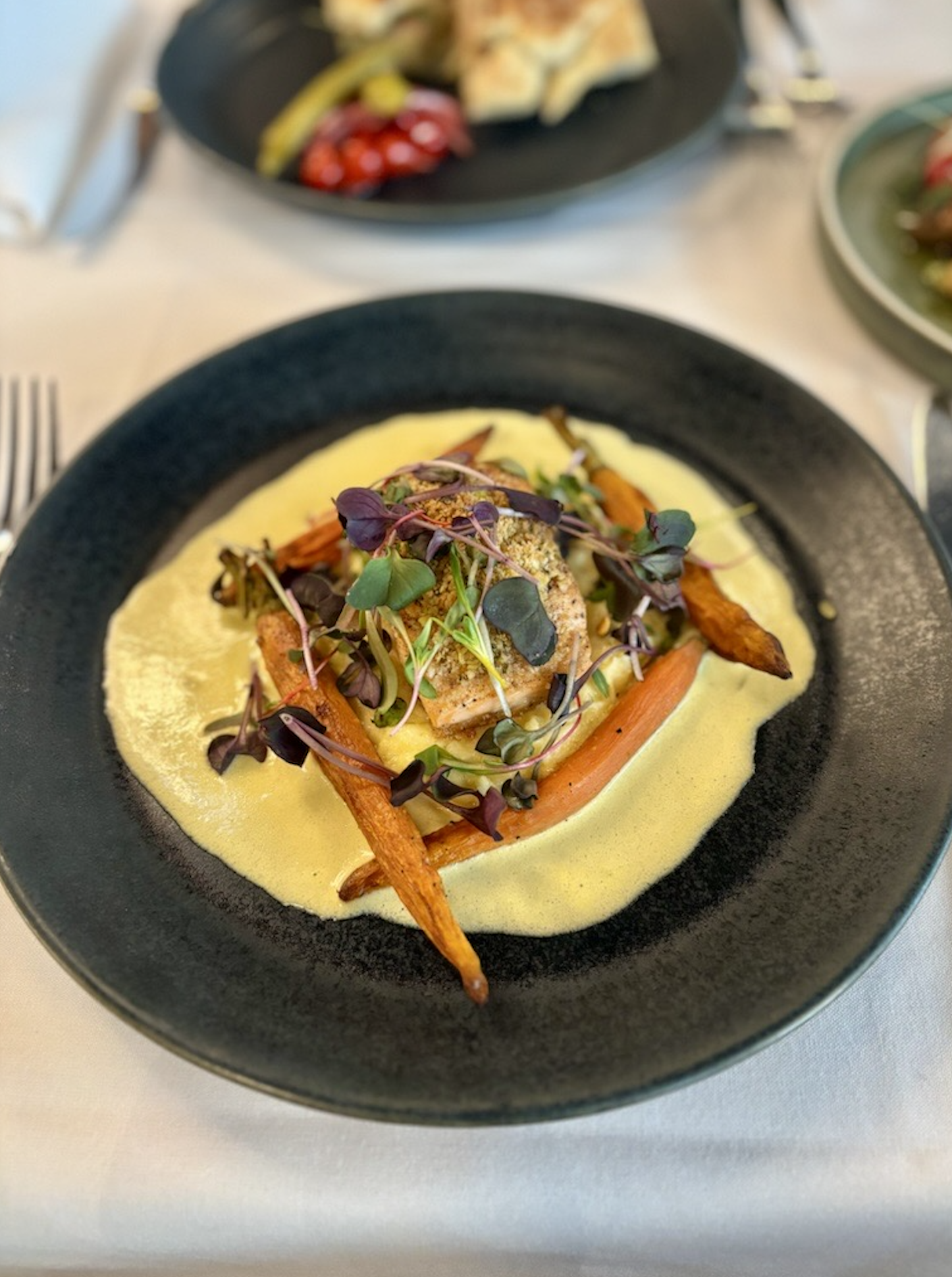 Salmon feature of the week