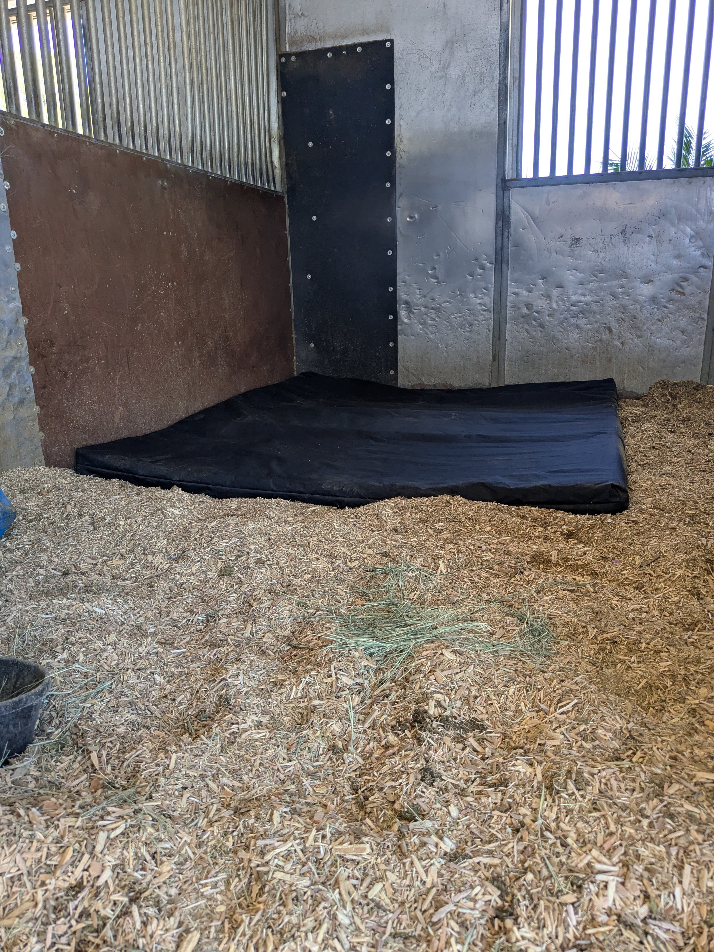 stall2.jpg