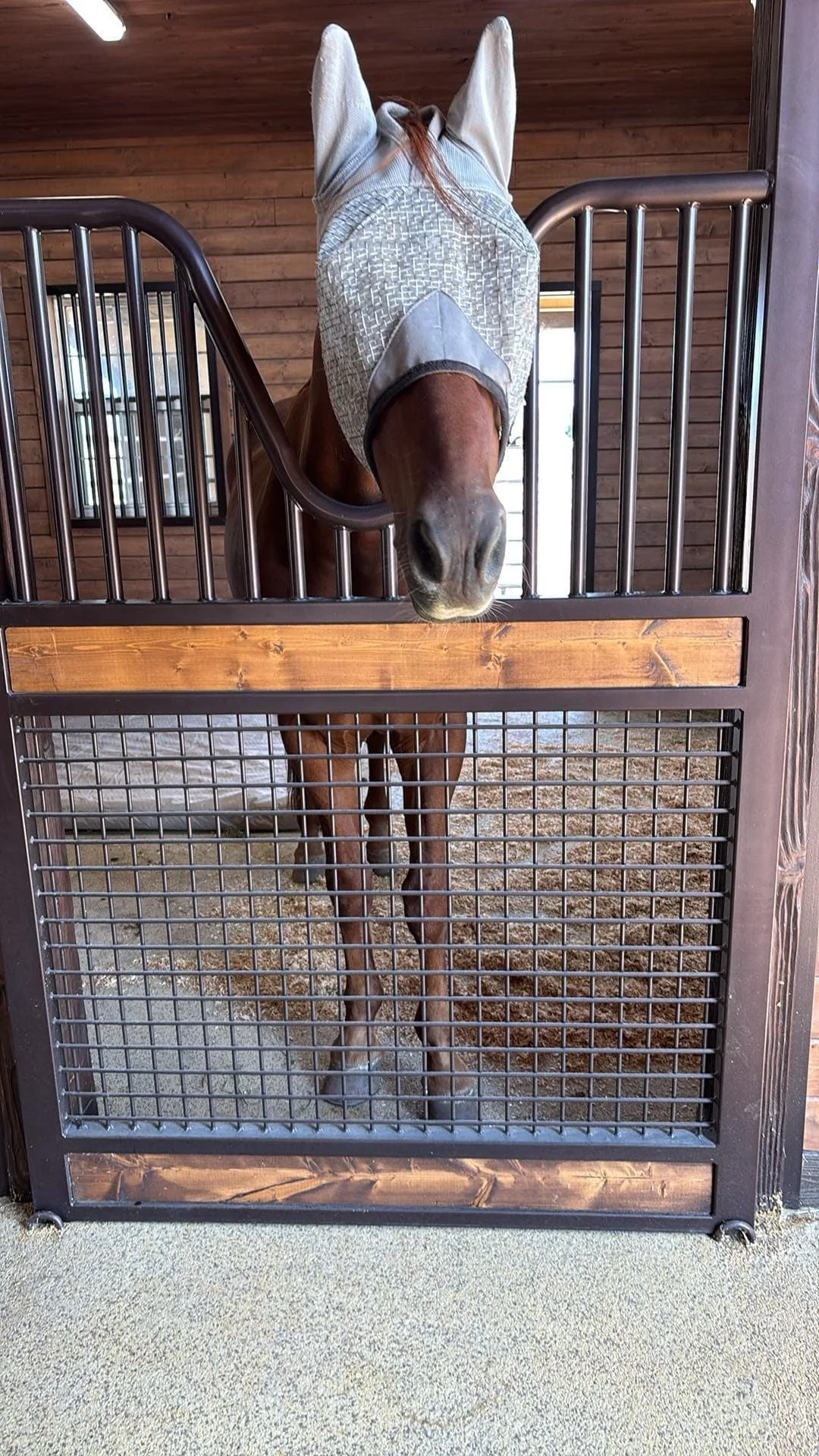 PasturePuff Equine Mattress - Proudly Made in the USA