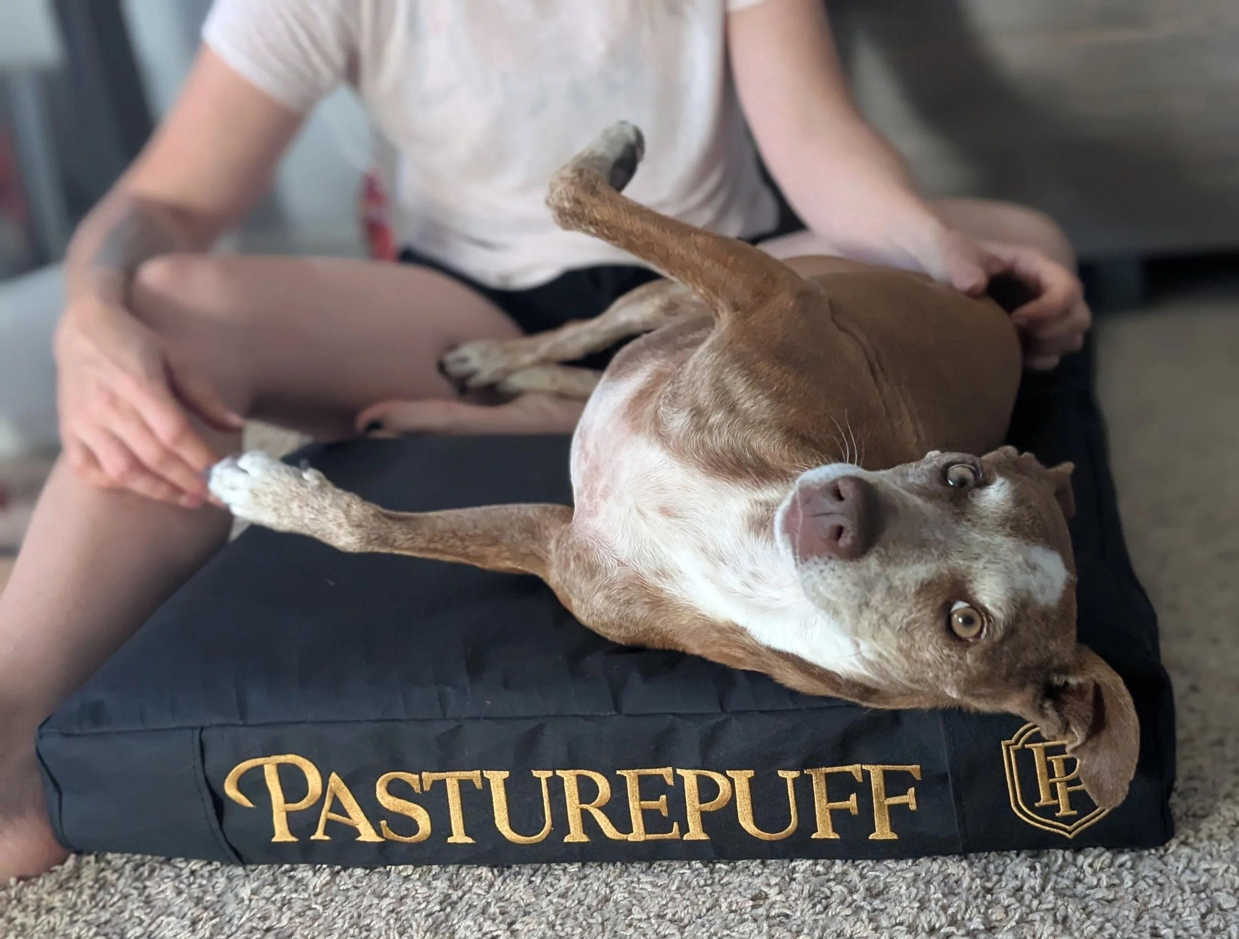 PasturePuff for Dogs