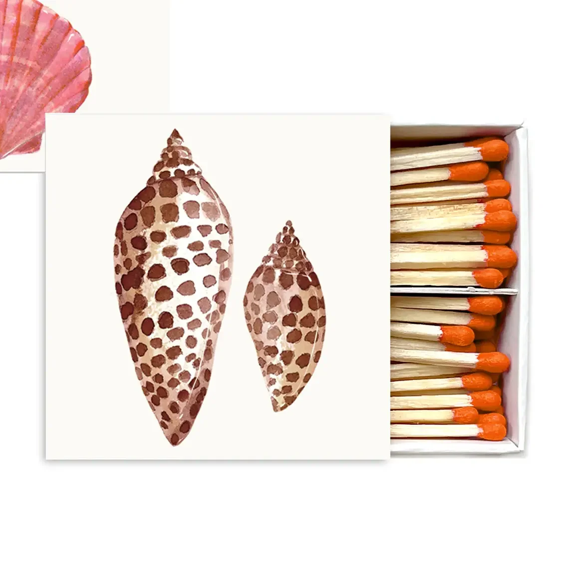 Seashell Matchbox