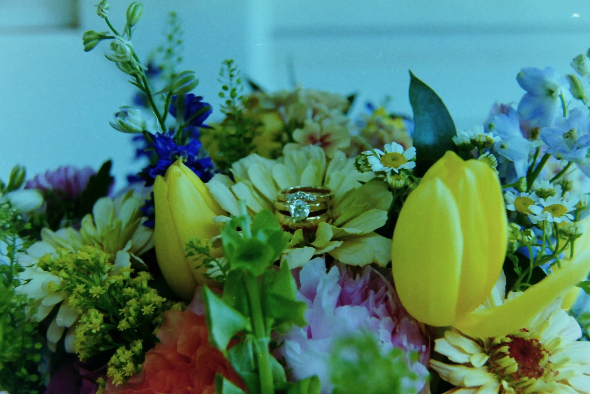 IMG00105.JPG