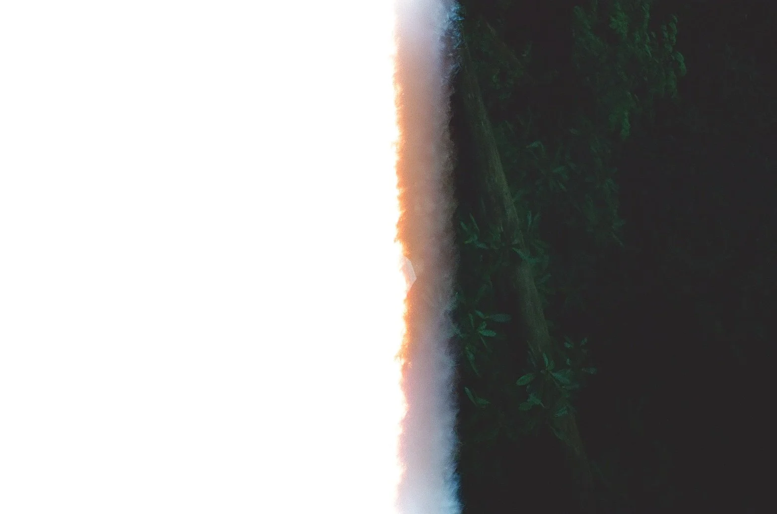 000189990001.jpg