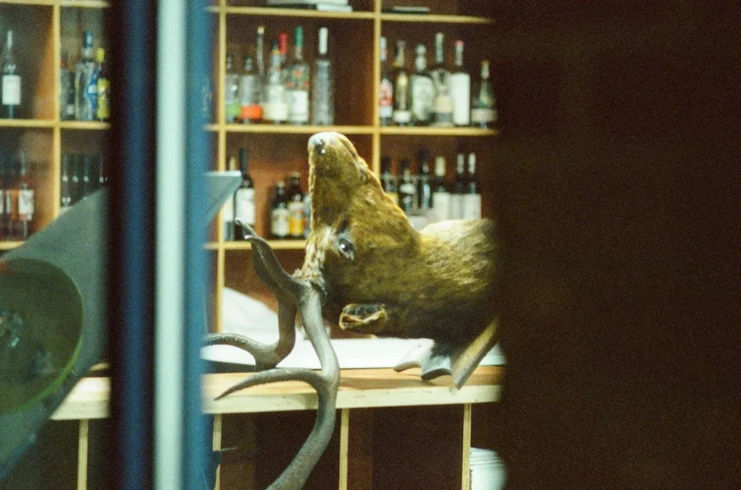Testing out Cinestill 800T 🎞️
📷 Konica A.T4

#cinestill800t
#nightphotography #filmphotography #konicaautoreflext4