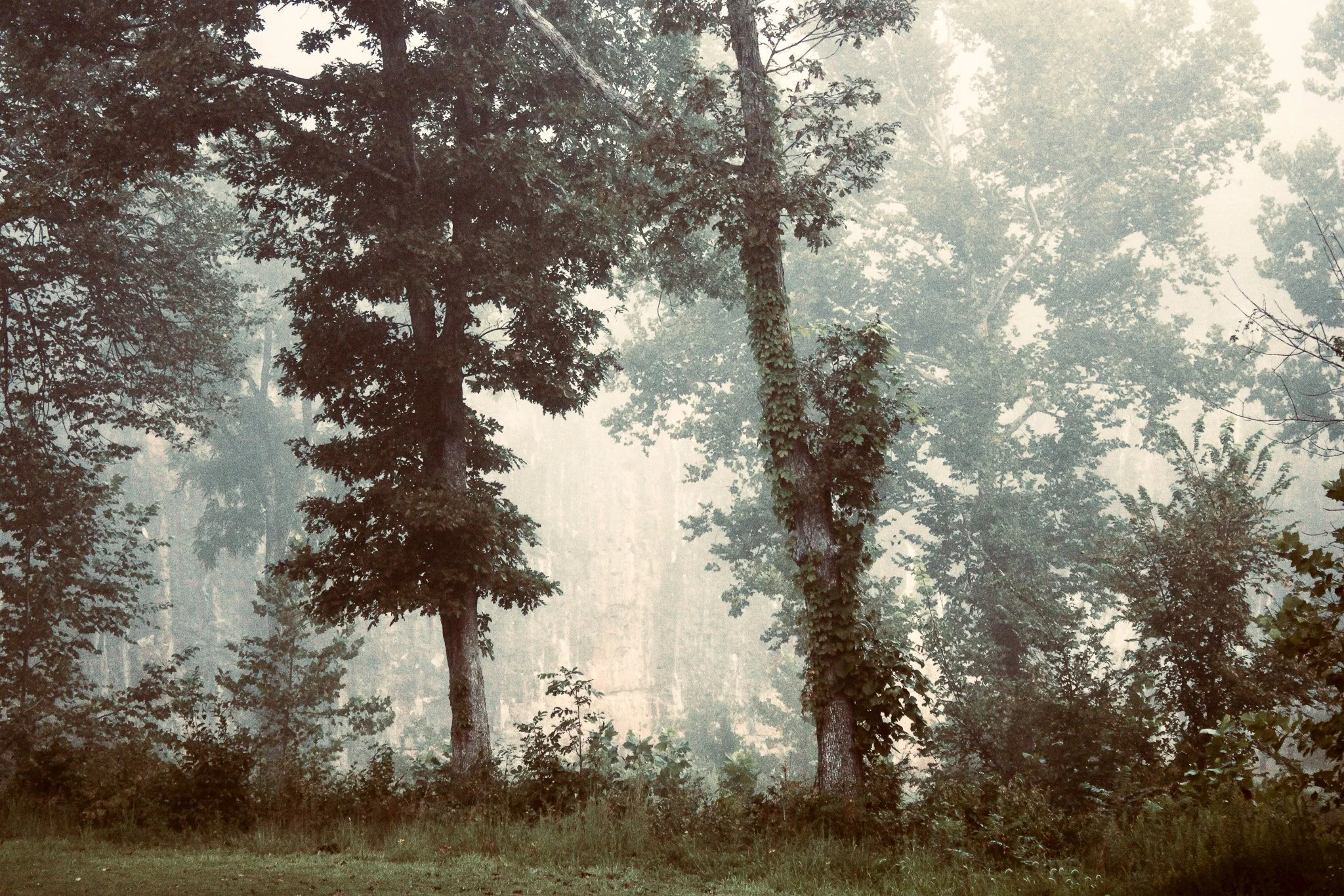 Urban Arch 01 preset_.jpg