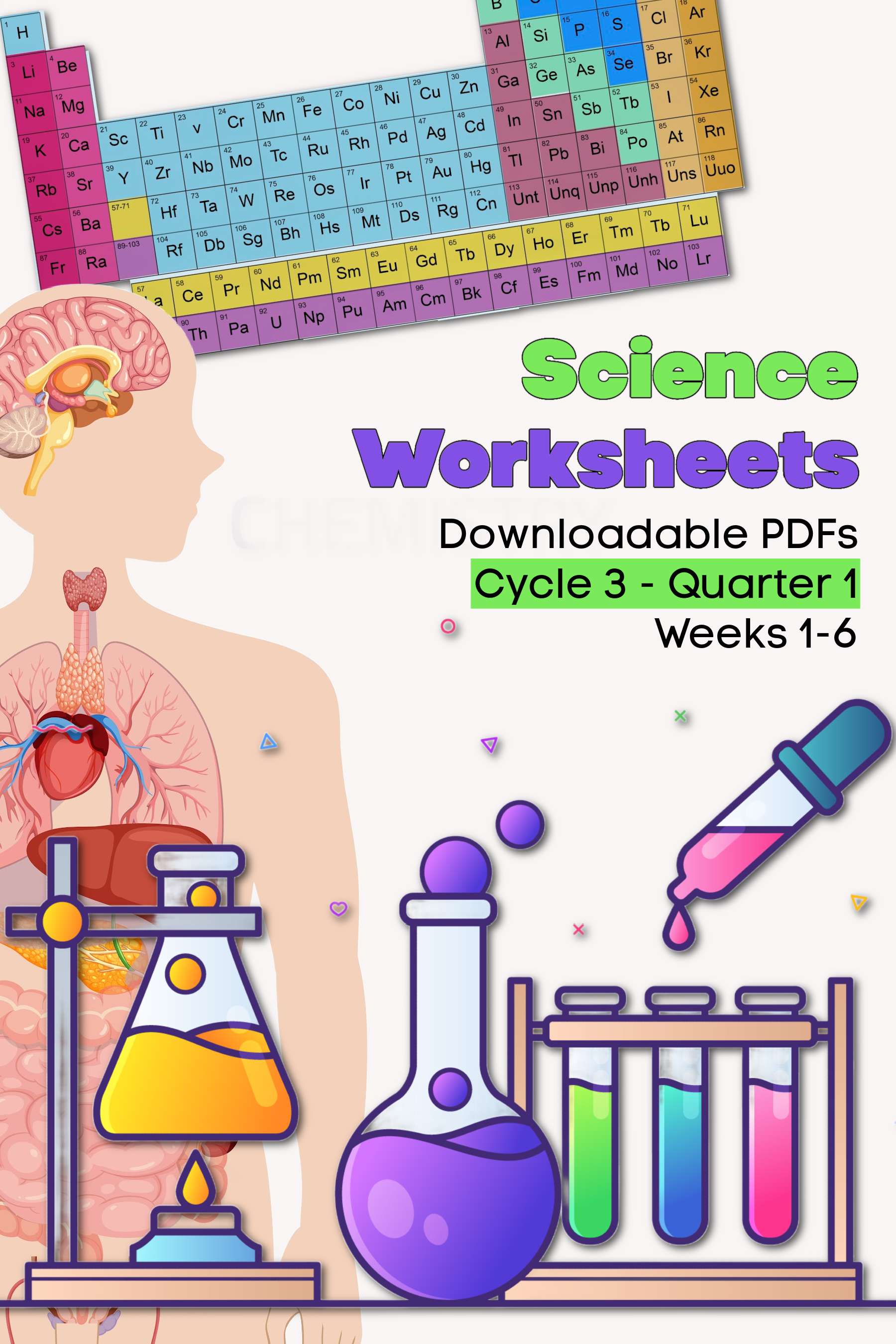 Product - Cycle 3 - Science Worksheets - Q1.png
