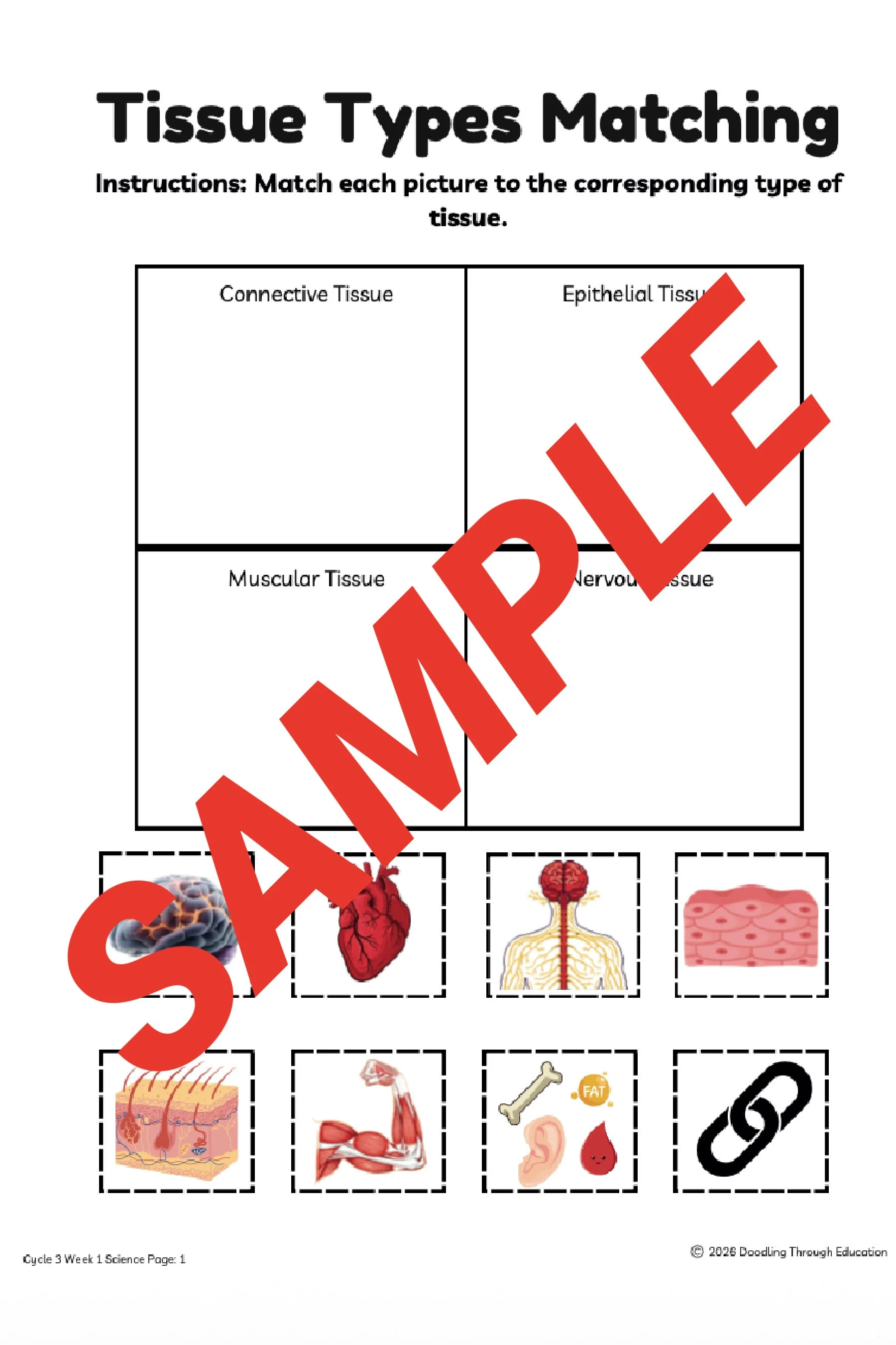 Product - Science Sample 2.jpg