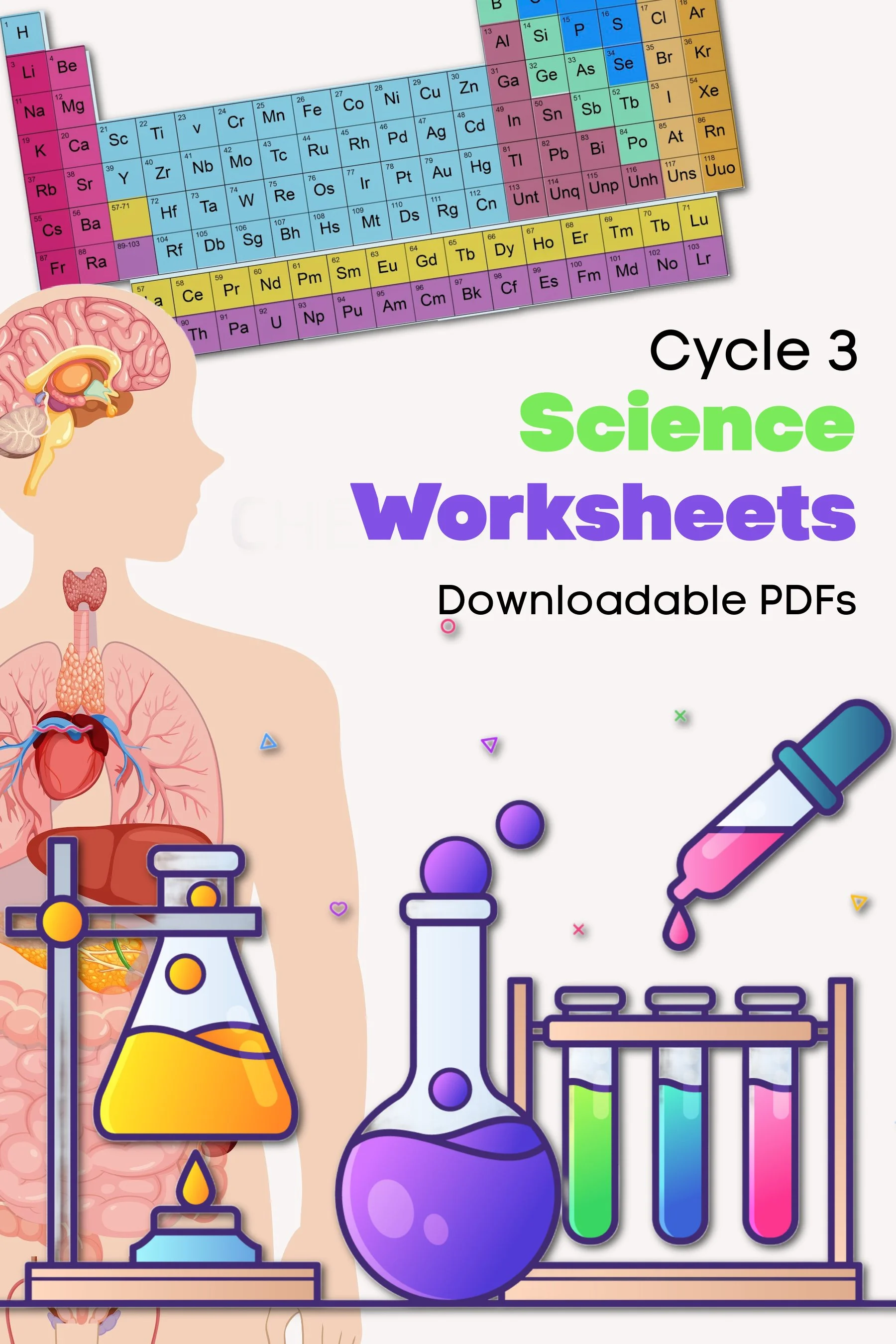 Product - Cycle 3 - Science Worksheets.jpg