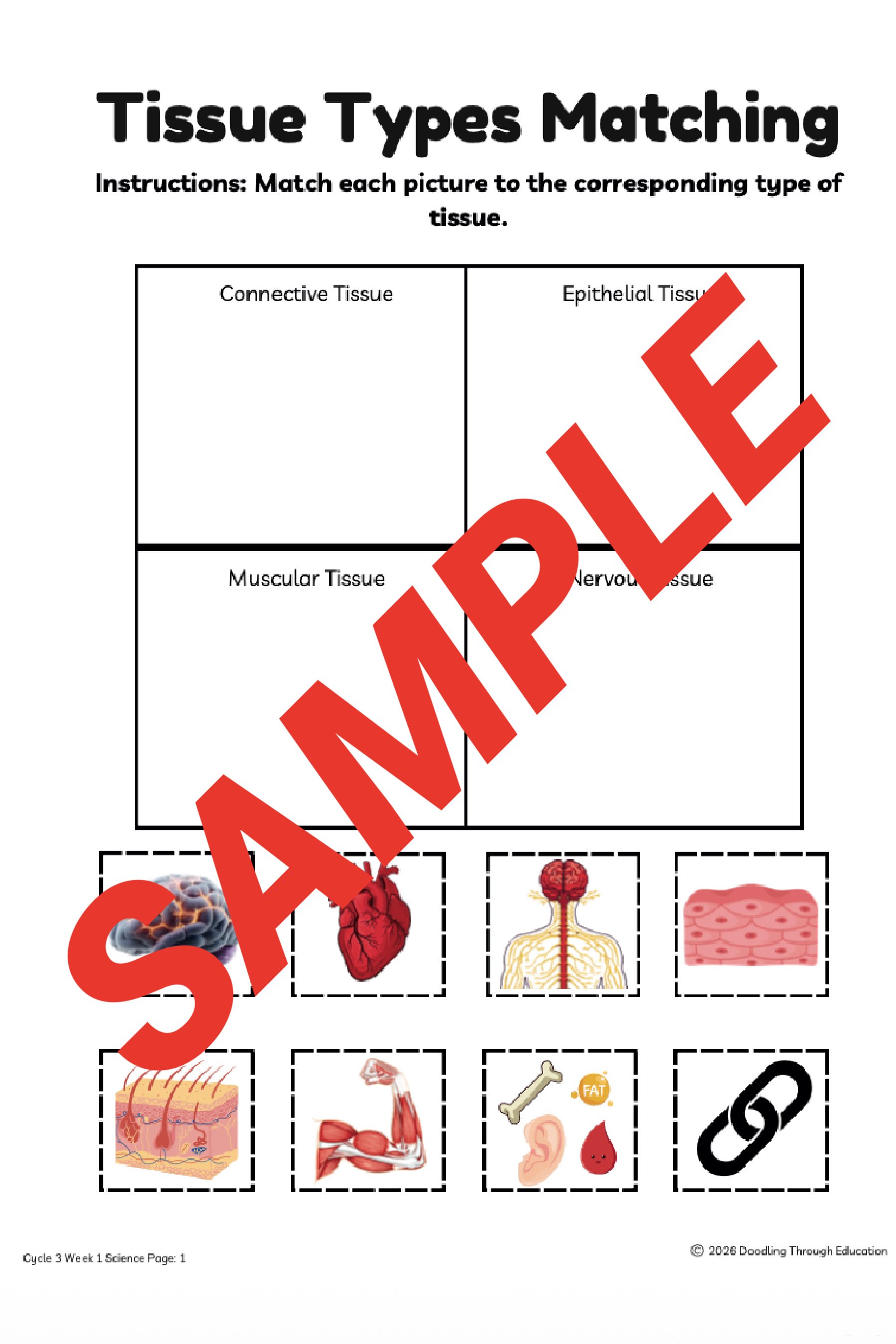 Product - Science Sample 2.jpg