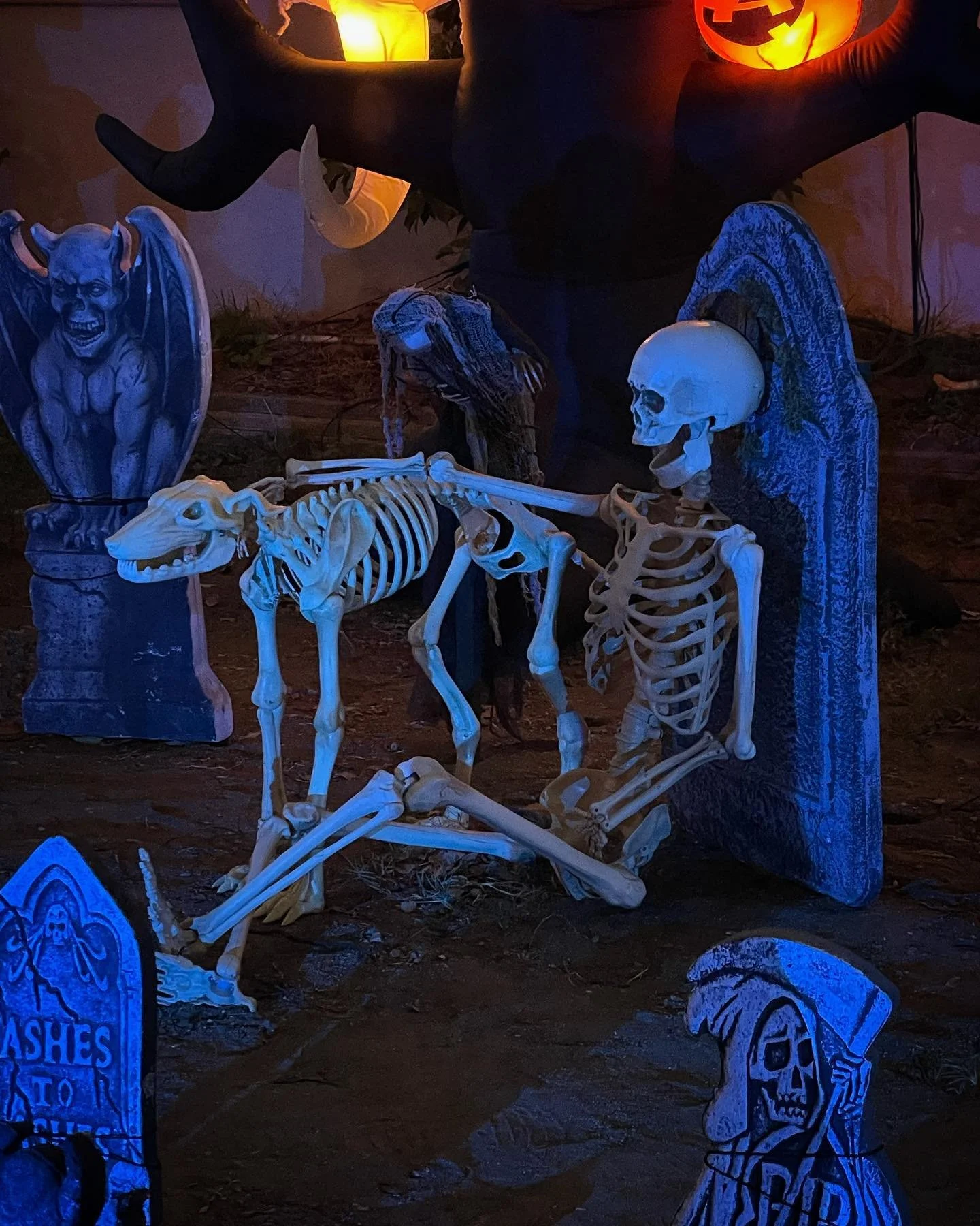 Me and my dogs in the After-Life.