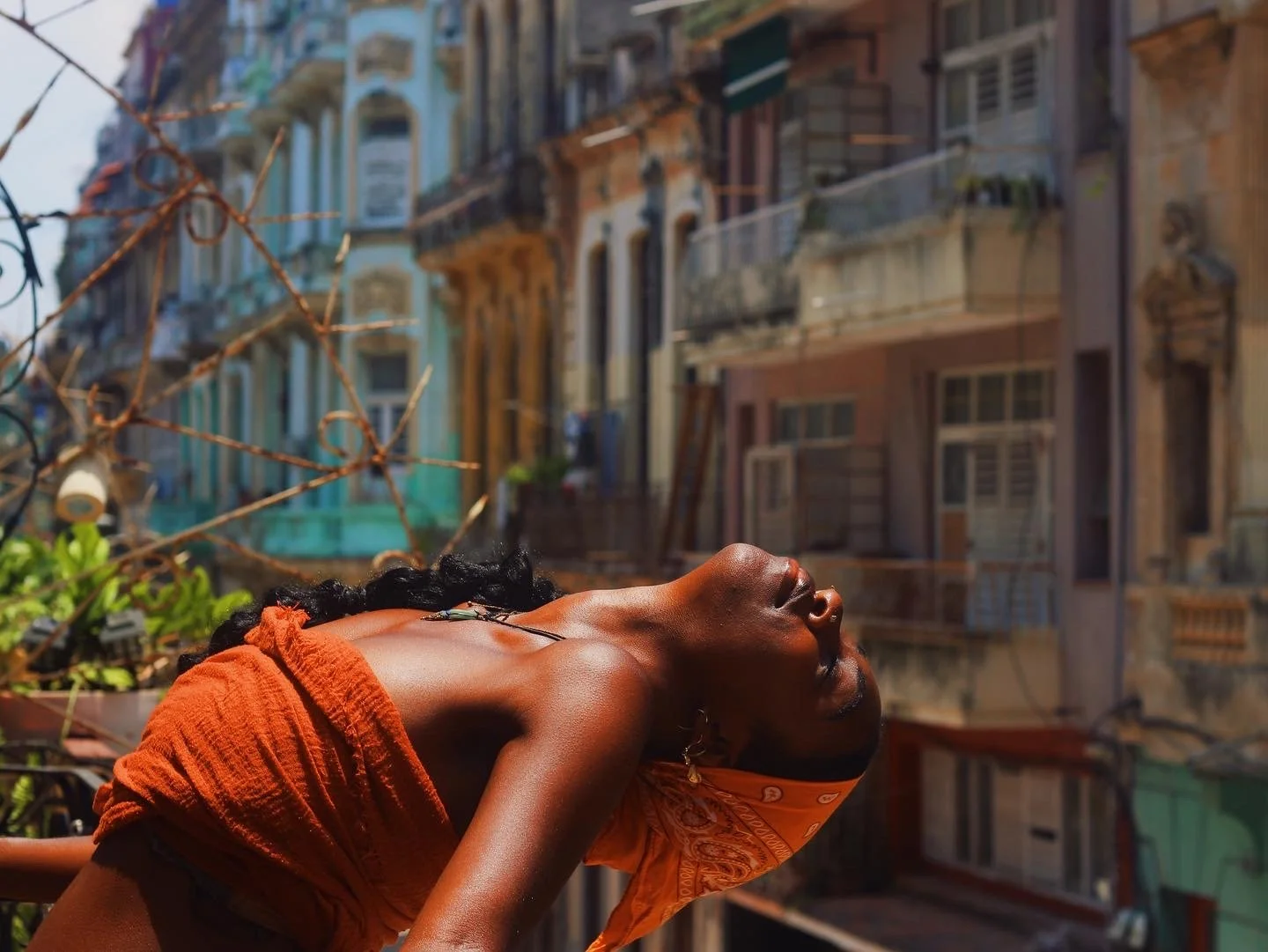 Amara Amaryah Habanera.JPG