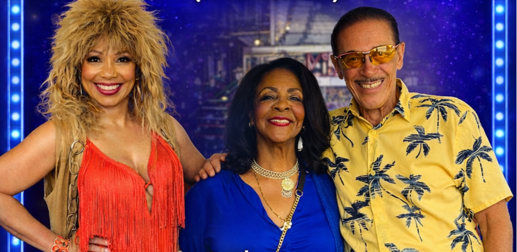 Sweet Tina Turner: A Tribute Experience by Lea Sweet