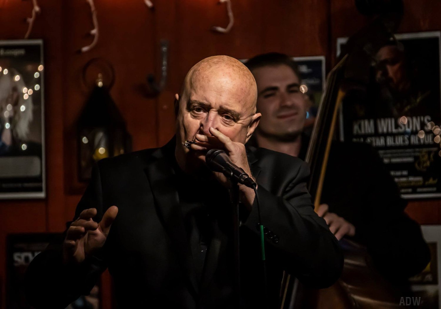 Kim Wilson performing live