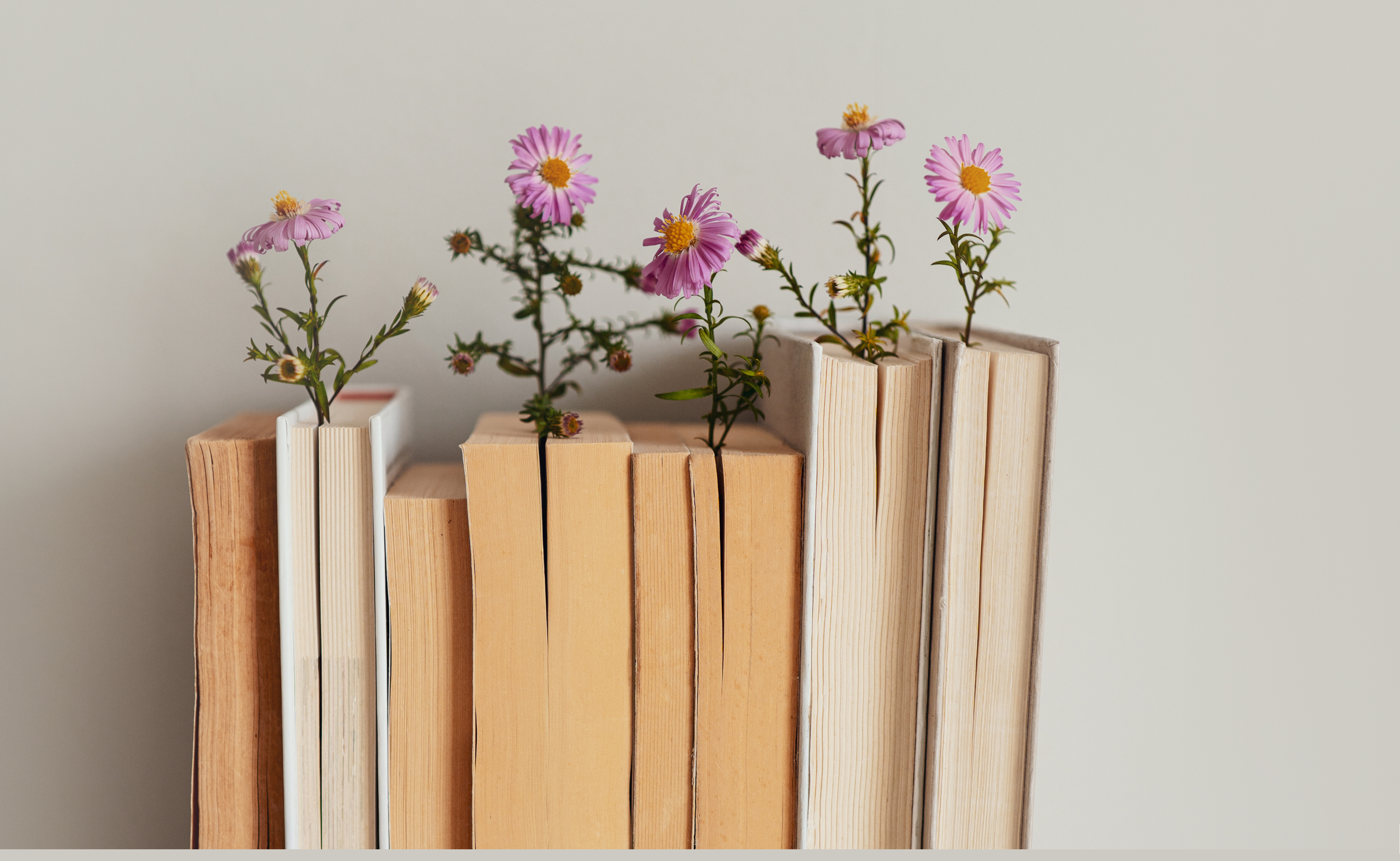 Good Endings: 5 books I Reread as a Biblical Counselor When Hope Feels Hard