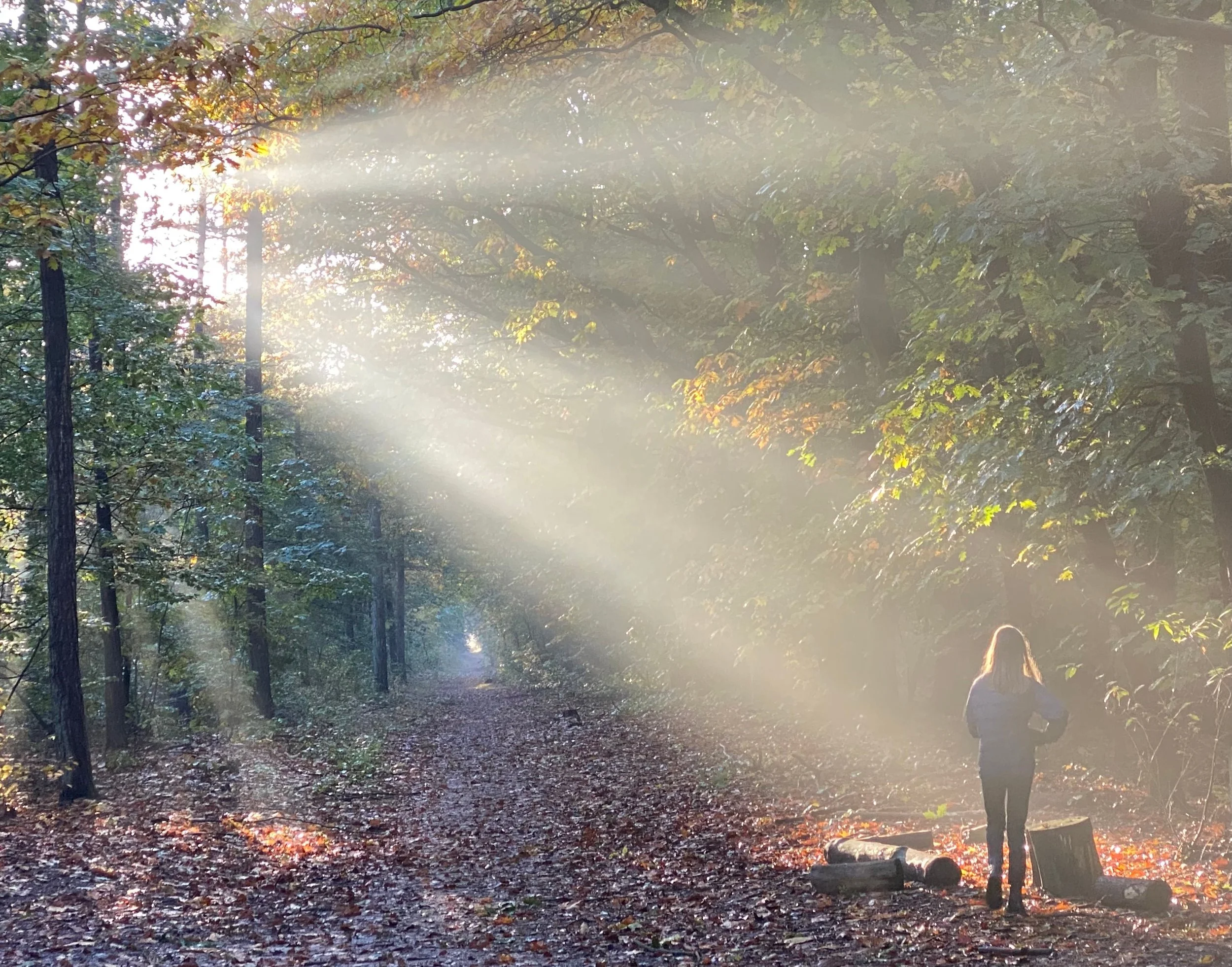 How Do You Move Forward After a Difficult Season? Finding Hope When You Feel Stuck