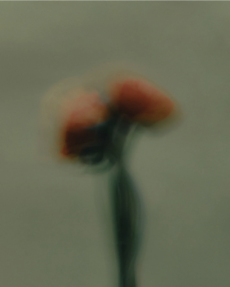 What to Expect When You’re Grieving: Three Things I’ve Learned
