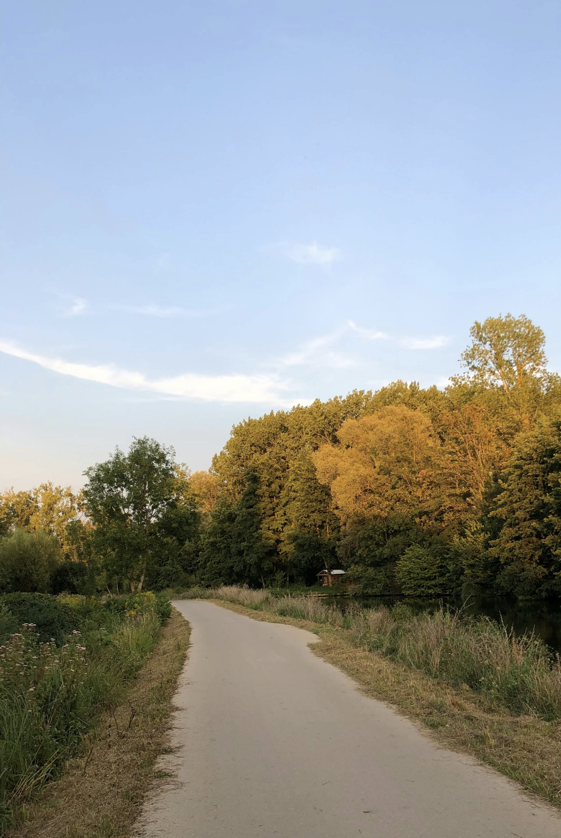 Thoughts on the Nervous System, Emotional Regulation, and the Spirit’s Gift of Self-Control