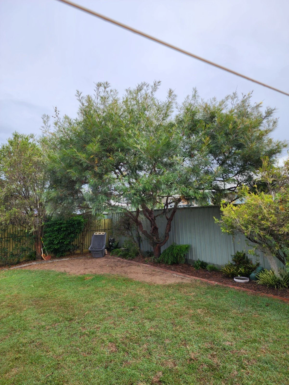 Small tree pruning