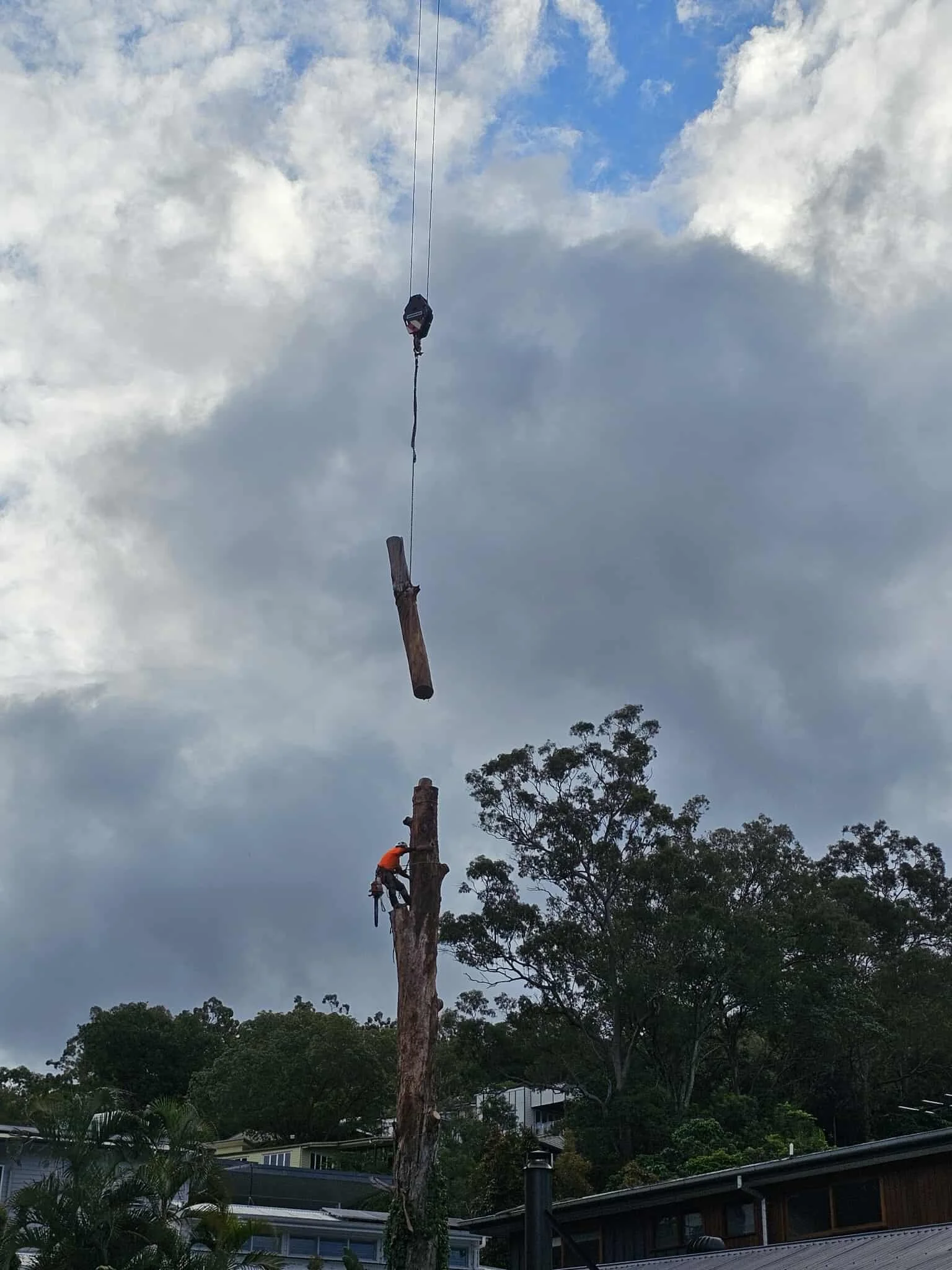 Crane tree work