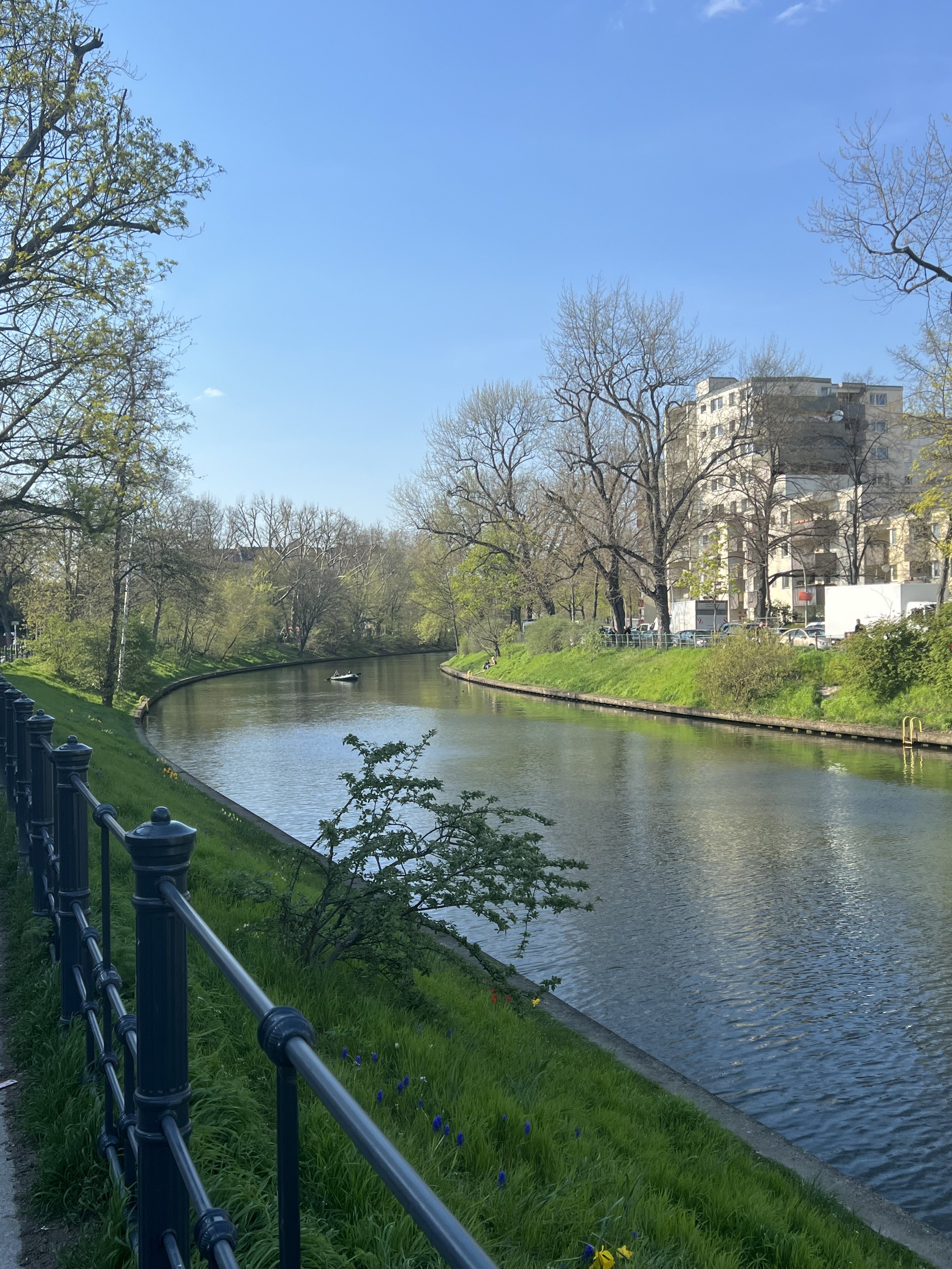 IMG_3134.jpeg