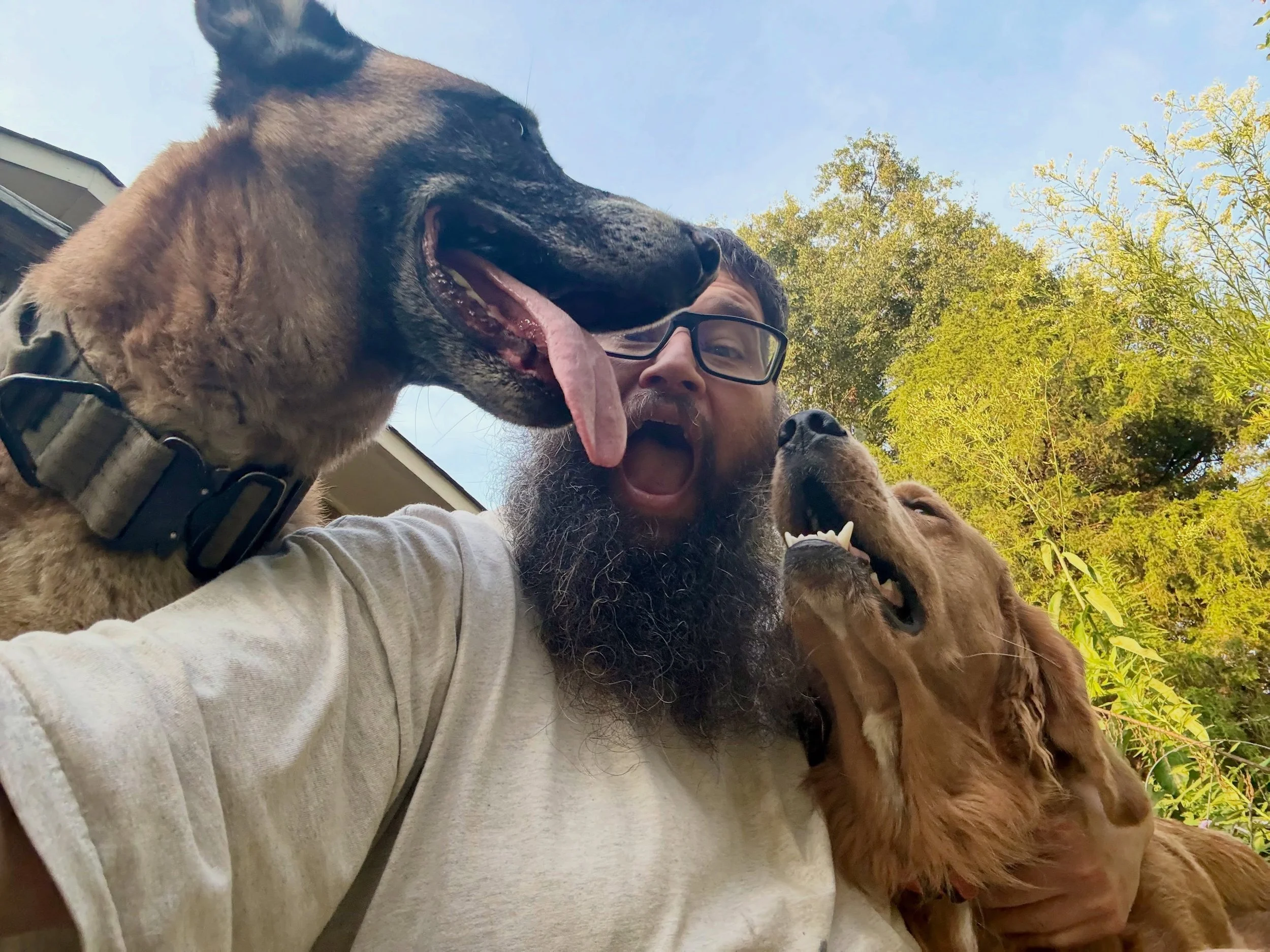 It&rsquo;s been a minute since I&rsquo;ve posted a picture of Negan, him and Butters decided the best place to rumpus is on top of me, and I&rsquo;m loving every minute of it #dogsofinstagram #lovemydog #pooch #dog #bark