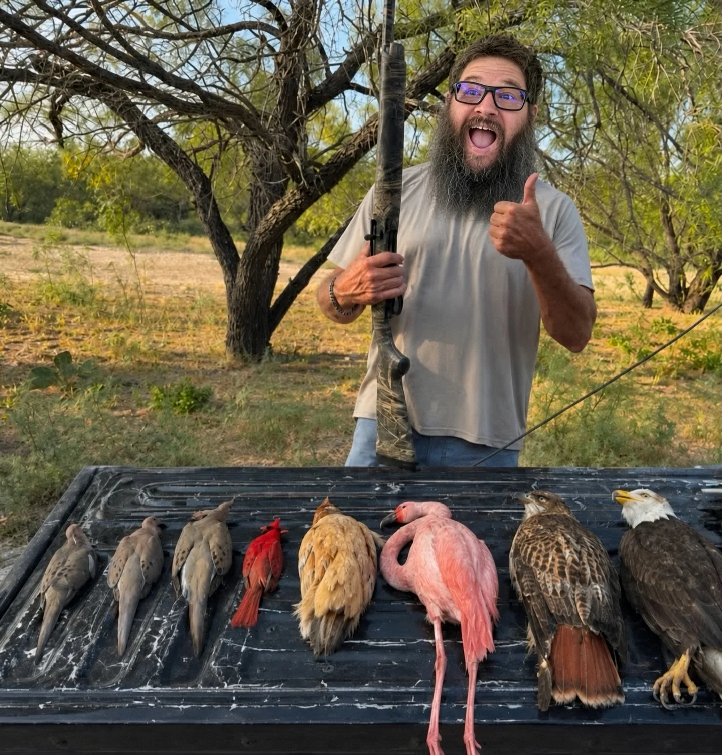 So far my first Dove 🕊️ season is going pretty good 😊, don&rsquo;t know what all the fuss is about its pretty easy once you get the hang of it. #guns #hunting #2a #merica #pewpew