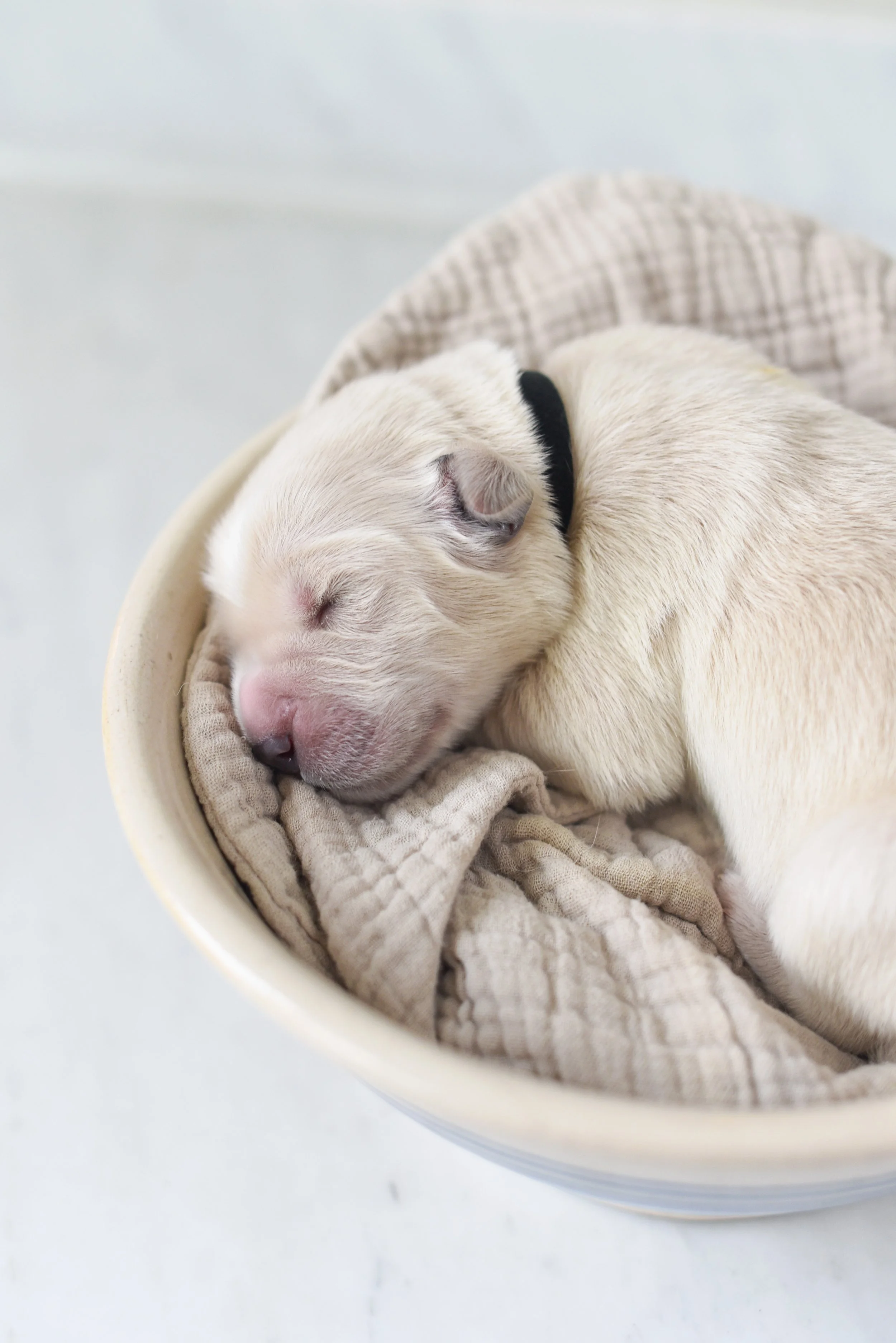 Otis_5 days_a.jpg