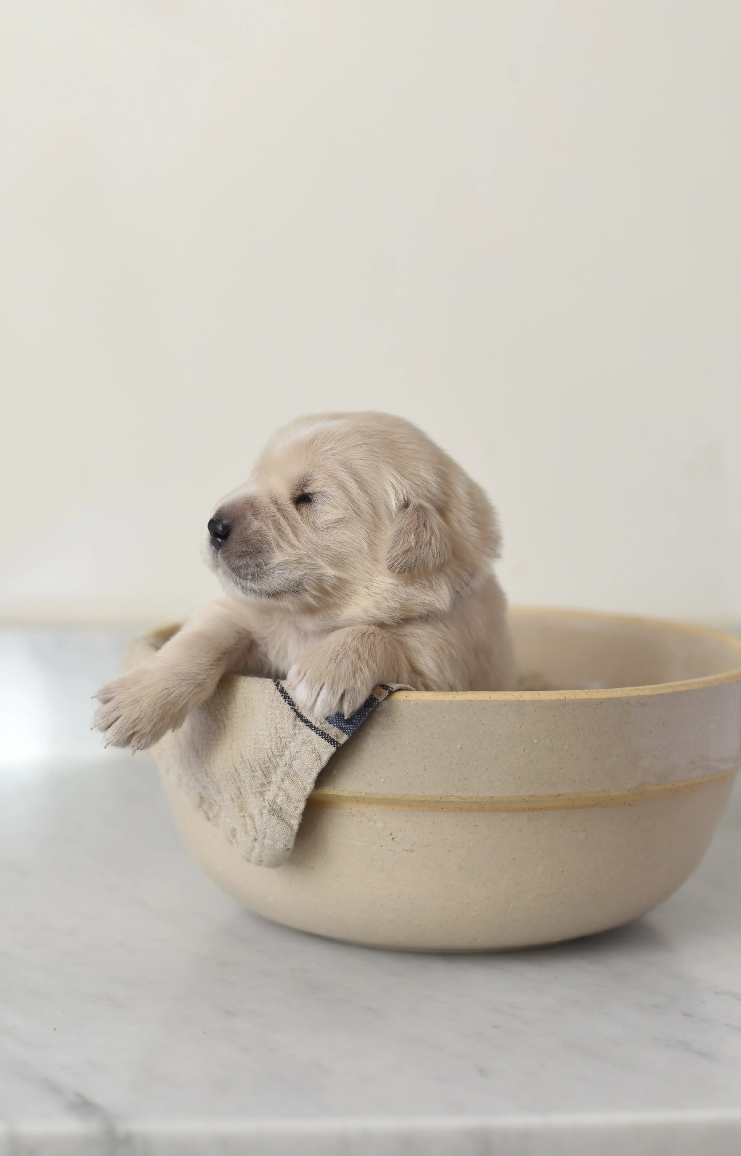 Otis_029.jpg