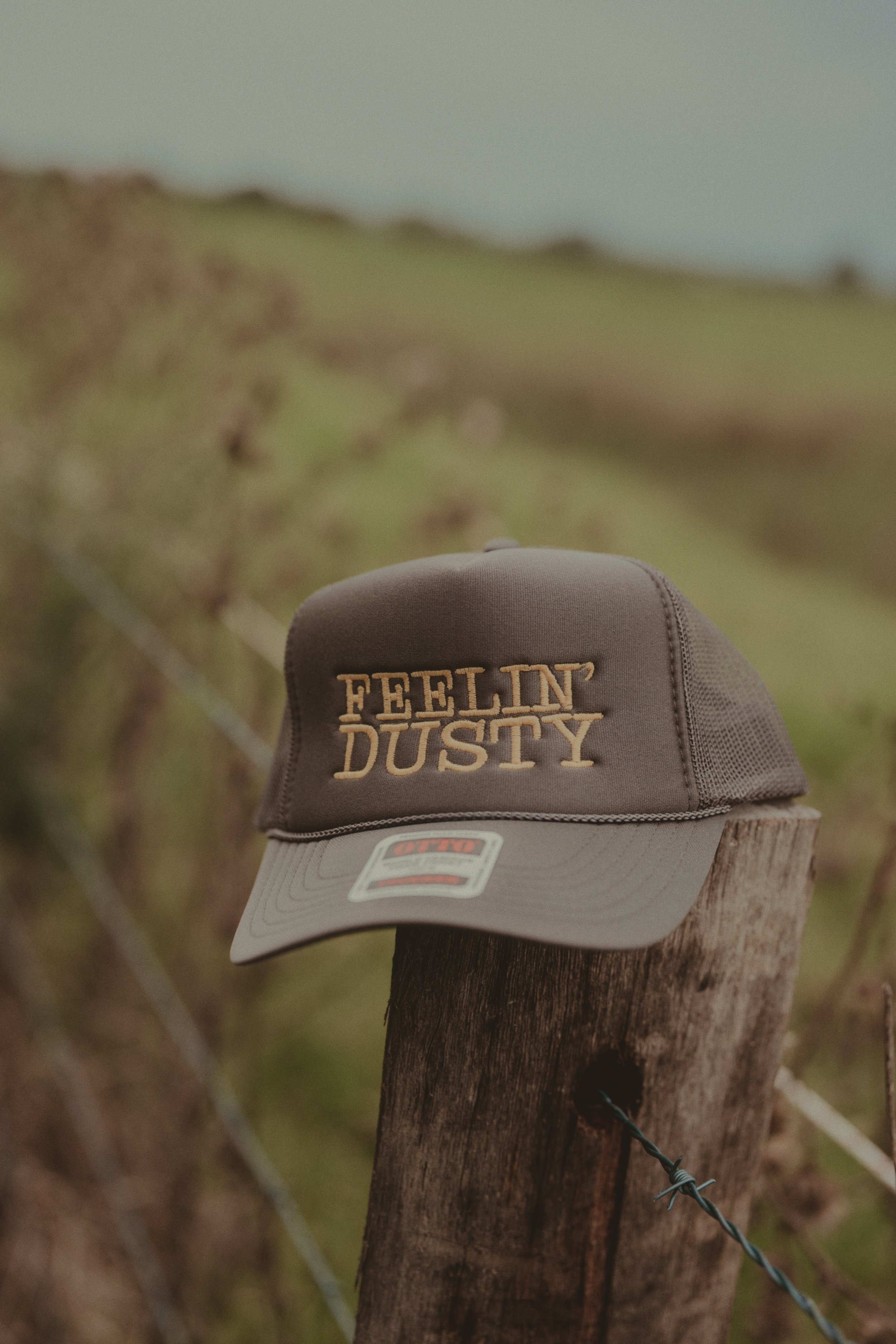 Dusty3.jpg