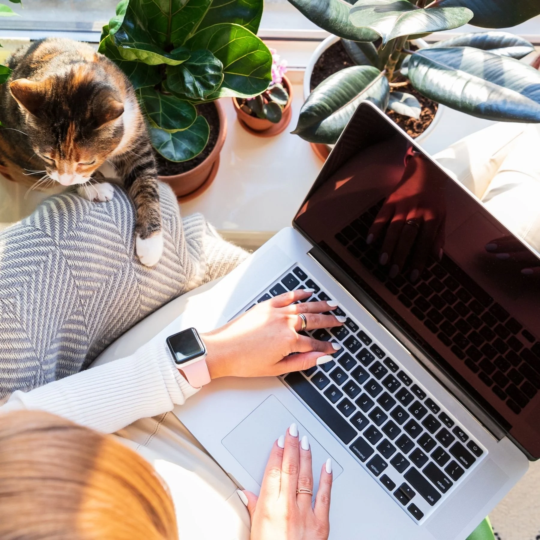 Quarterly SEO Services