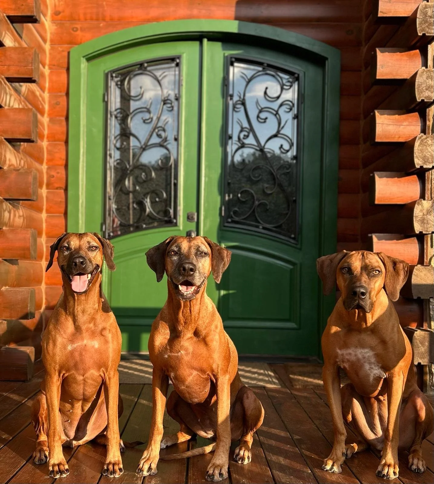 WhatsApp Image 2024-09-13 at 8.45.18 AM.jpeg