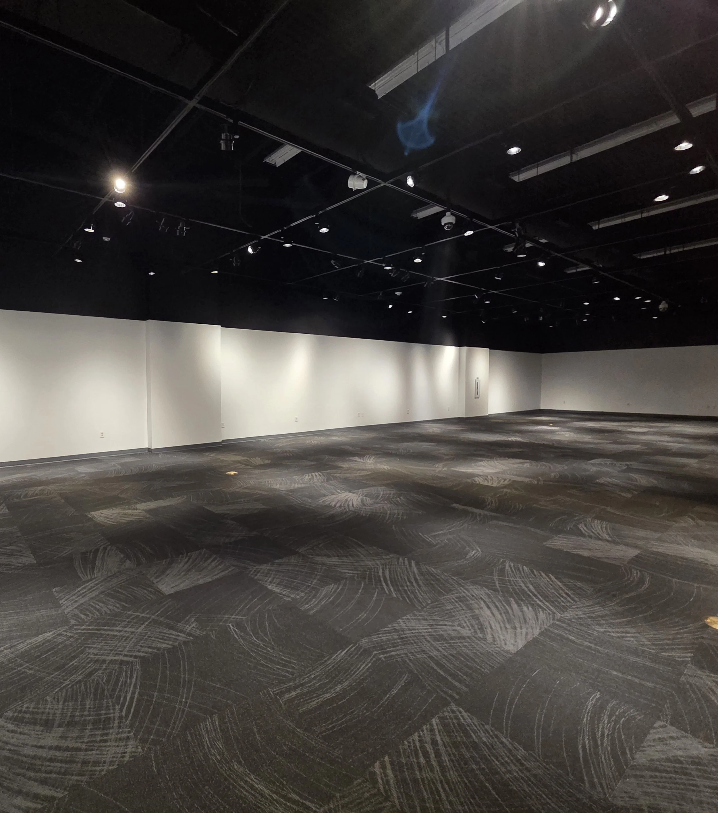 New walls, paint, and carpet