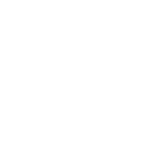 DÈSIR THE LABEL