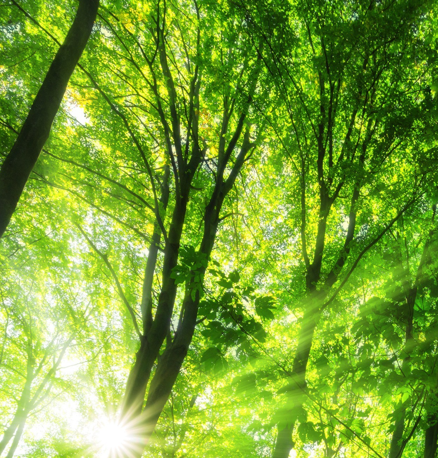 Learn communication skills.