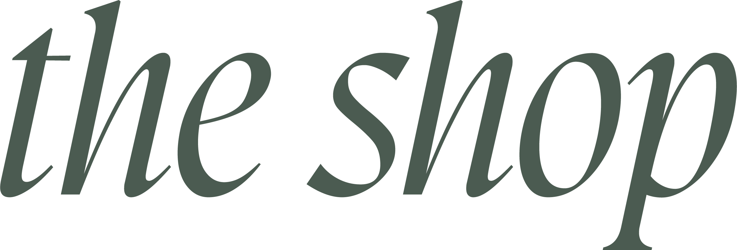 Stylized text saying 'the shop' in lowercase, dark green font.