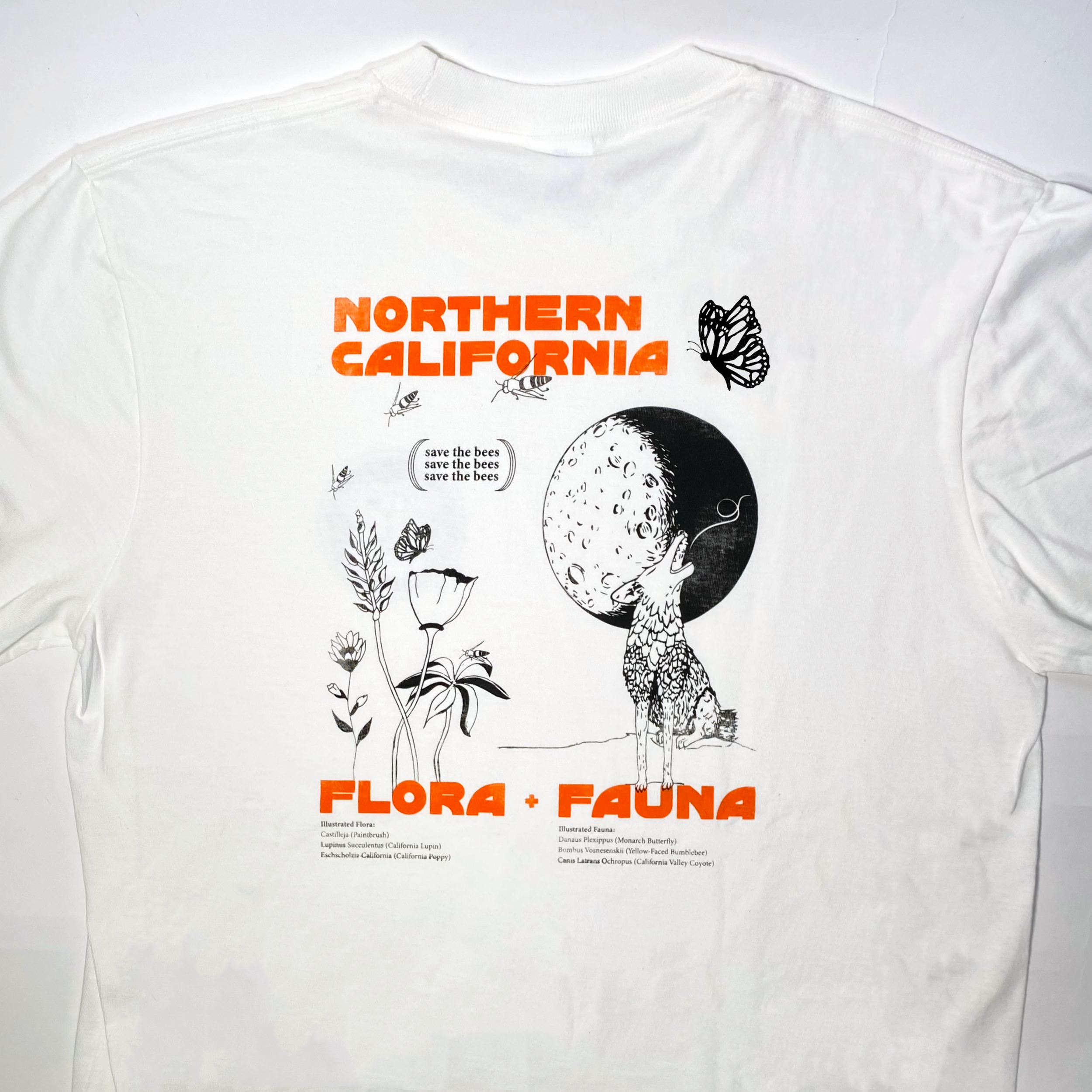 Flora and Fauna Back.png