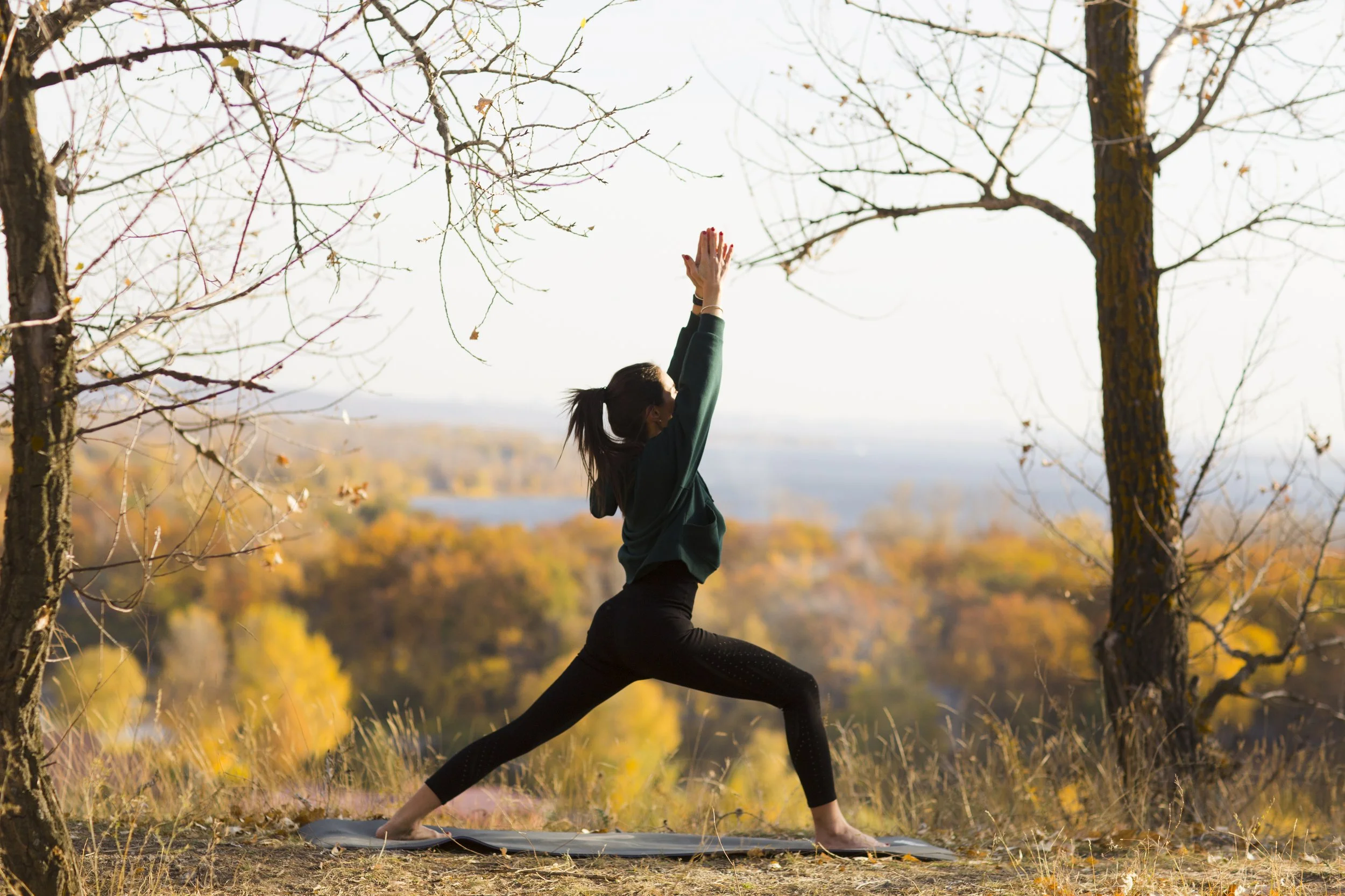 30 Day Wellness Challenge