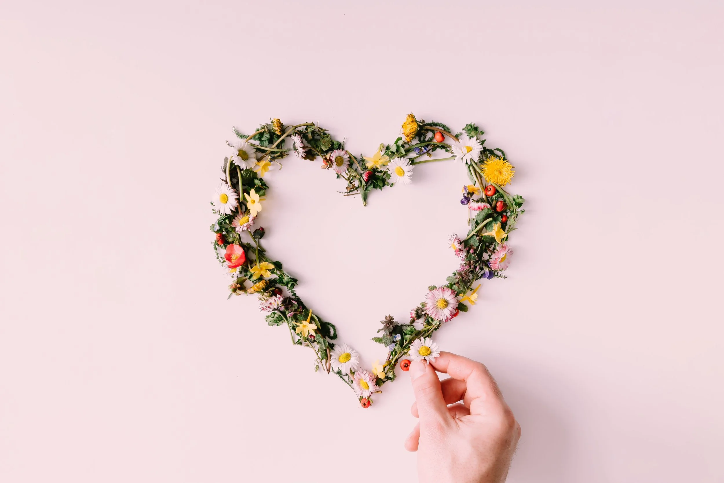 Cultivating Compassion in Times of Division