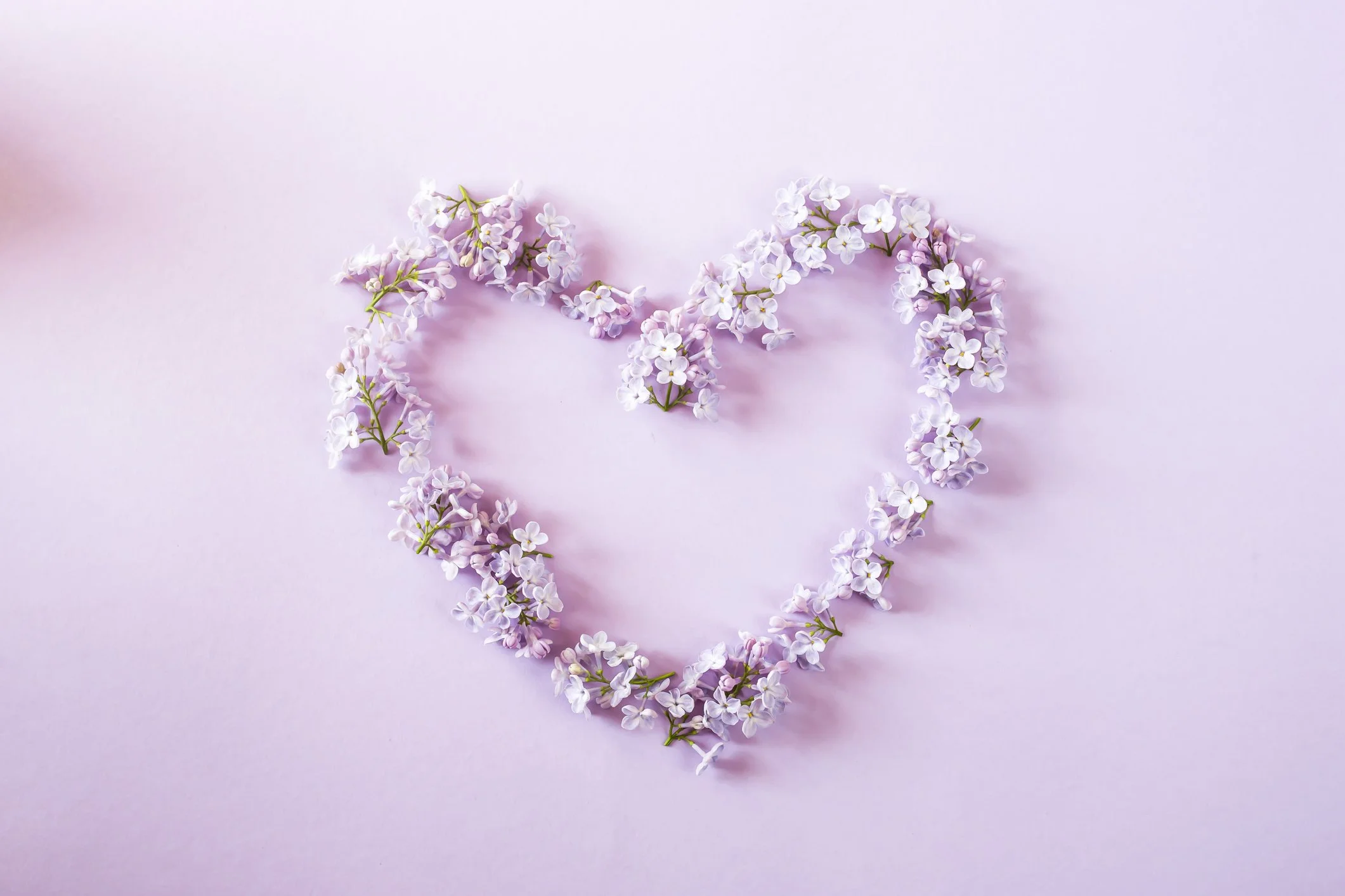 The Art Of Compassion Workshop Series