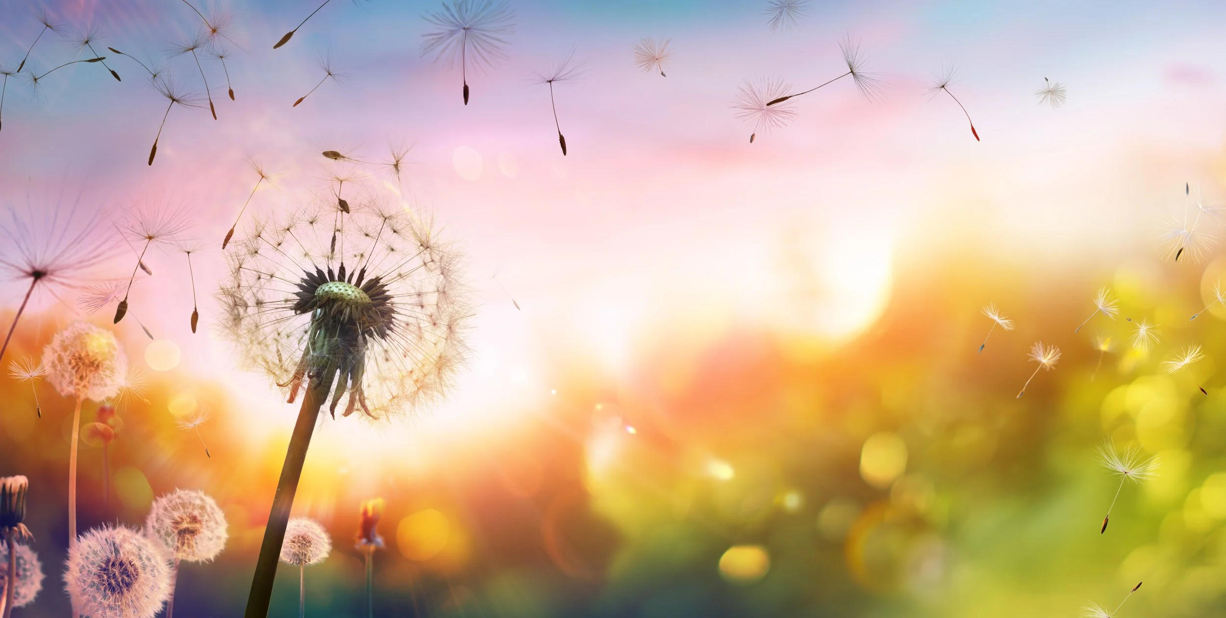 Learning To Let Go