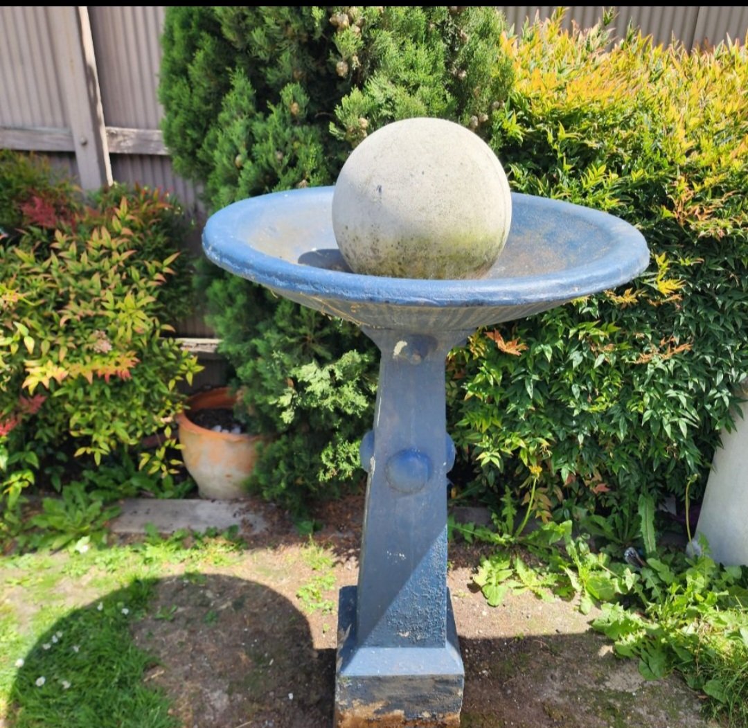 1000062034.jpg