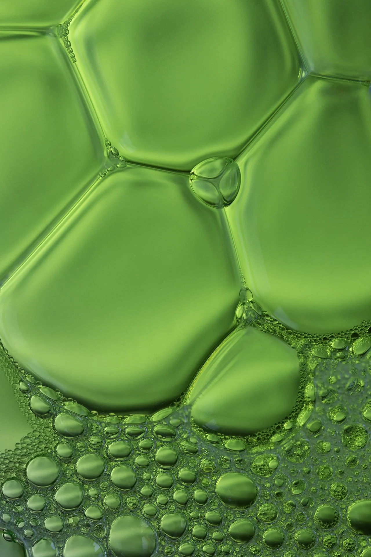 183A4848rf 2 64 v2 done 1920.jpg